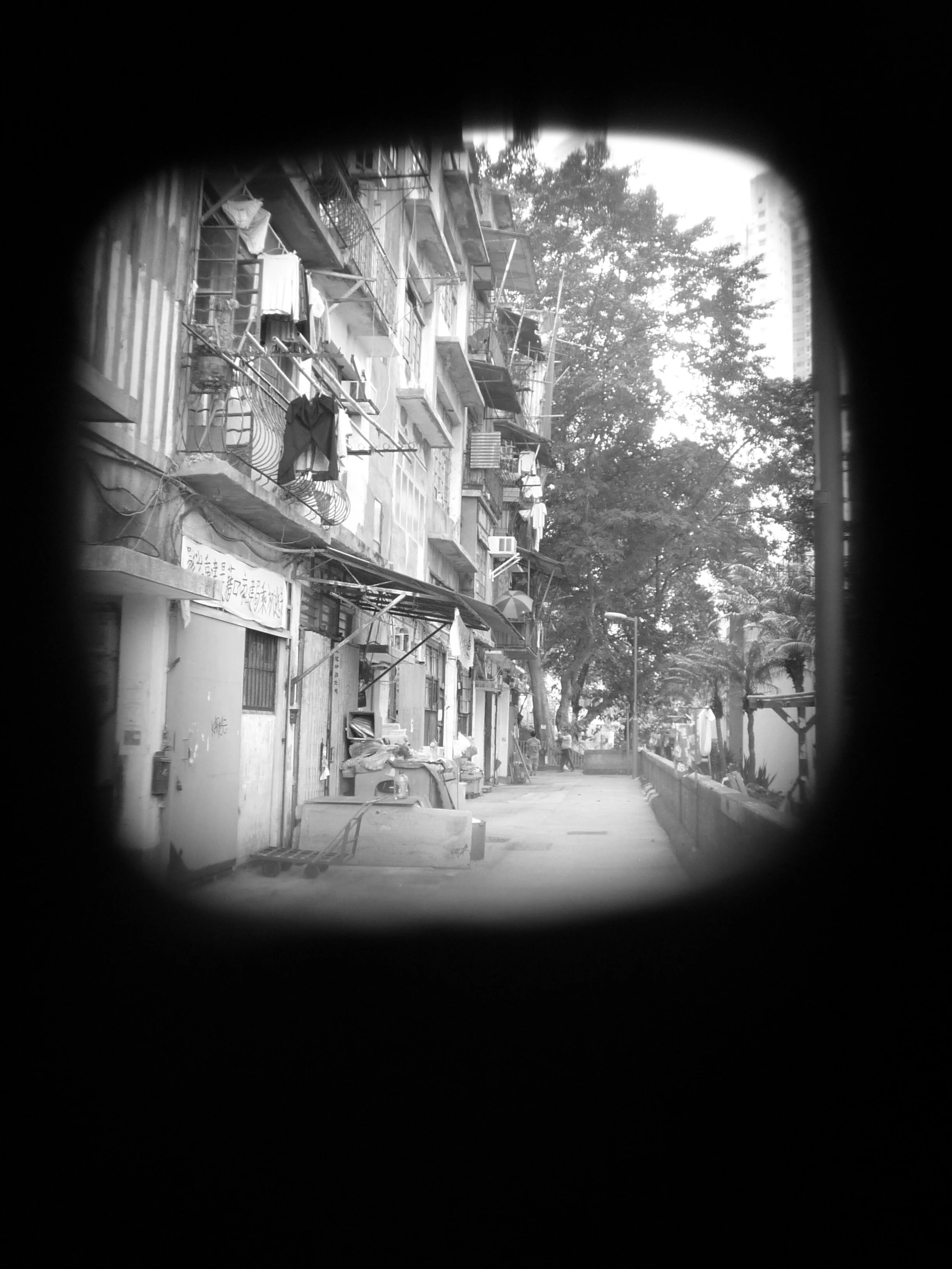 P1010868.jpg