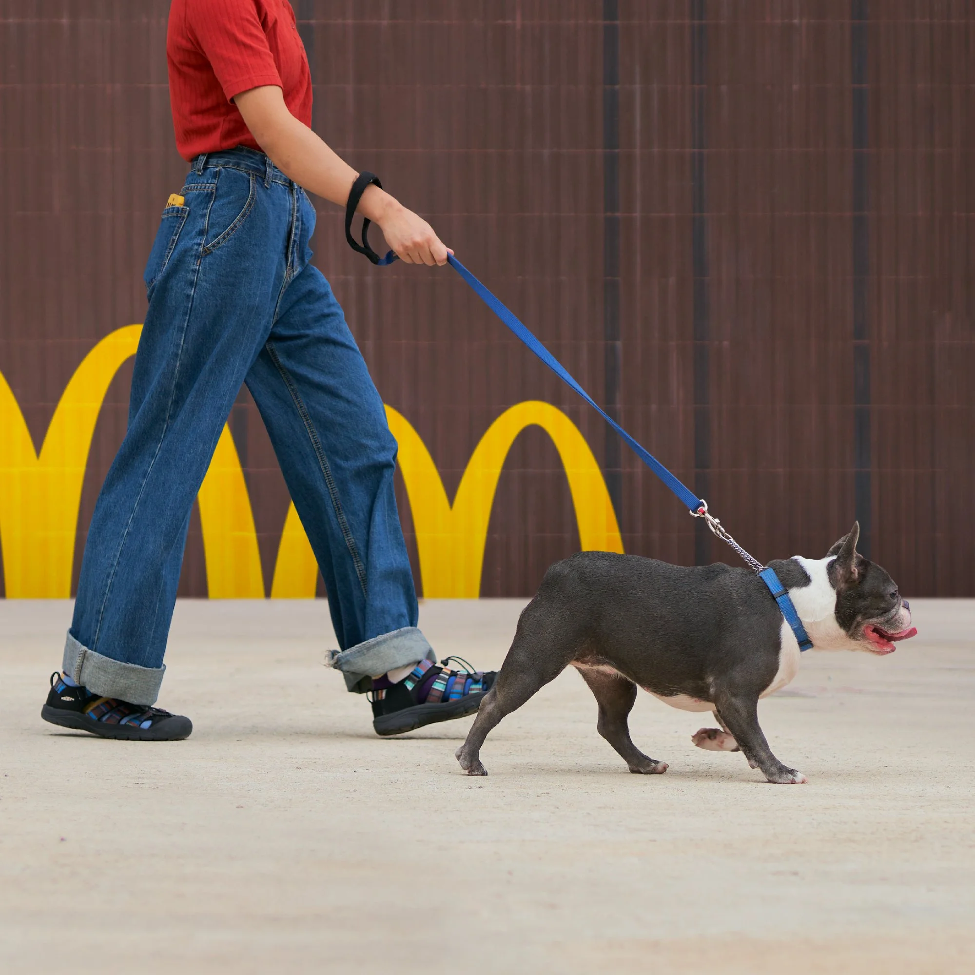 帶🐶散步，可能只係藉口🤭

#順路歎個麥記lor #甜品站都唔放過
#imlovinit #McDonaldshk