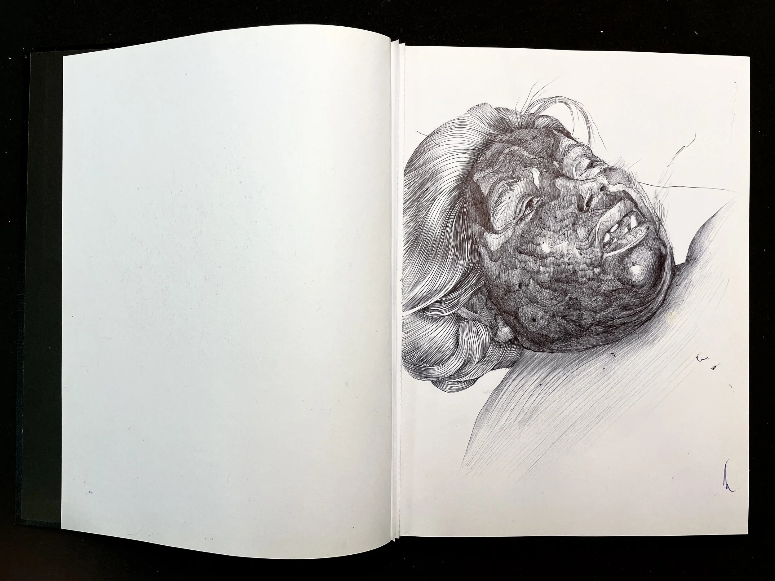 Book of Migrants.jpg