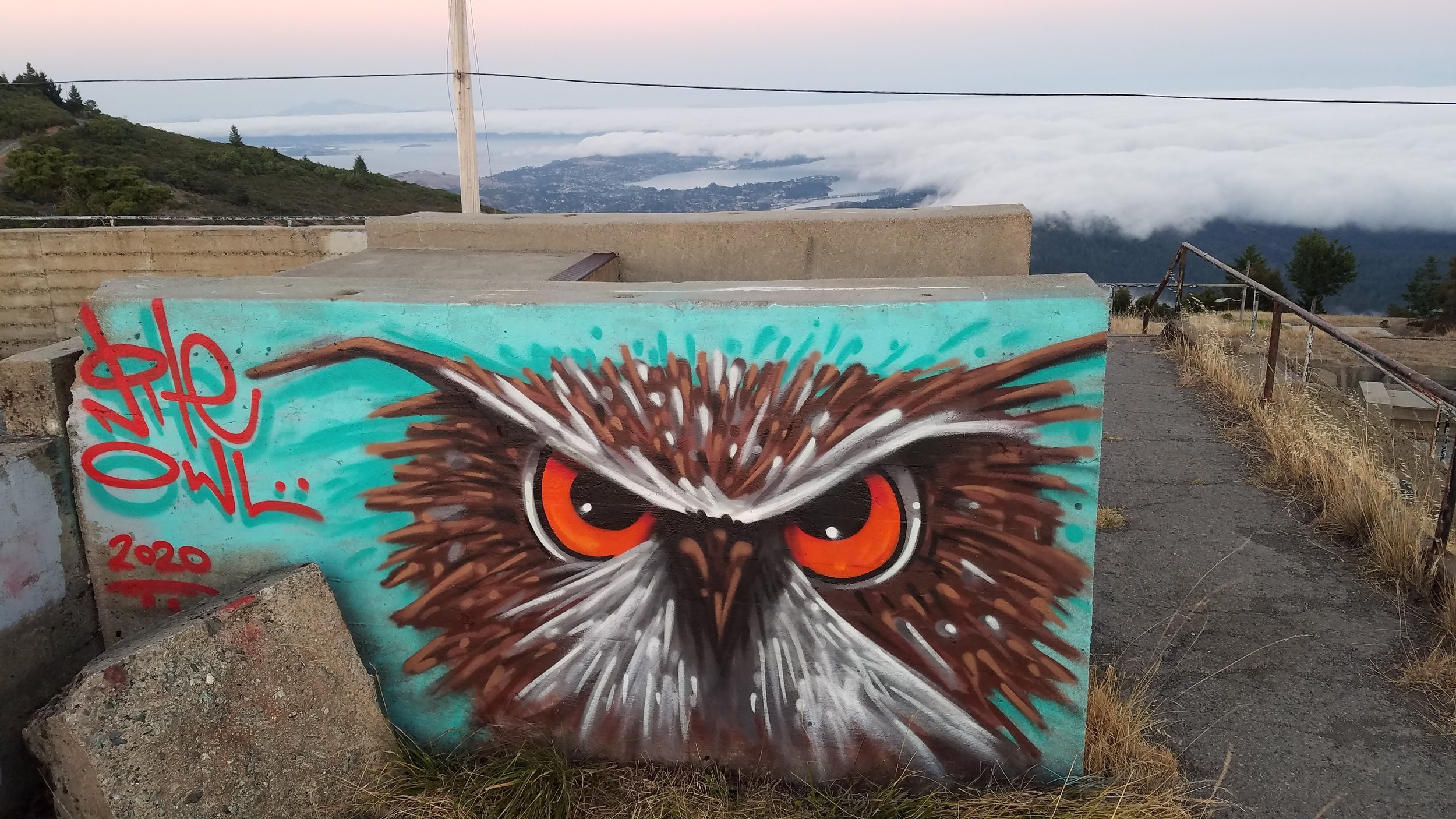Give a Hoot !