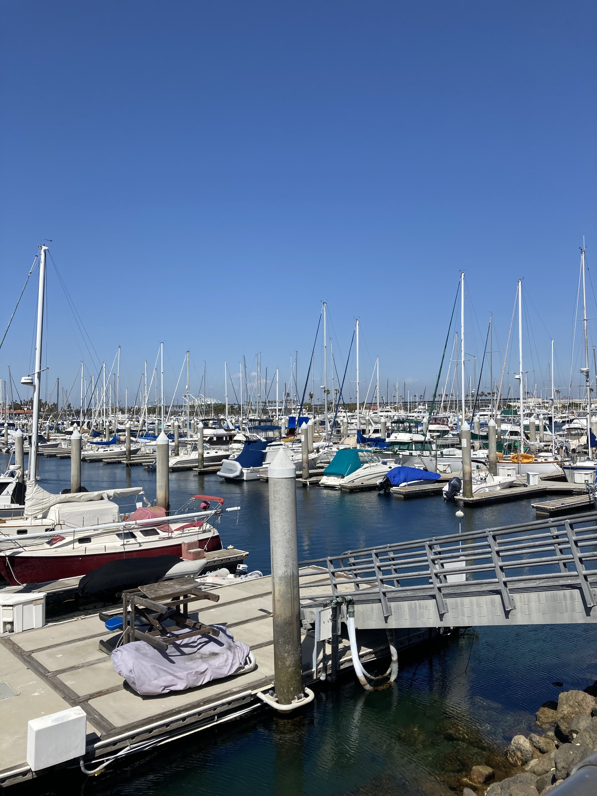 Nearby Marina