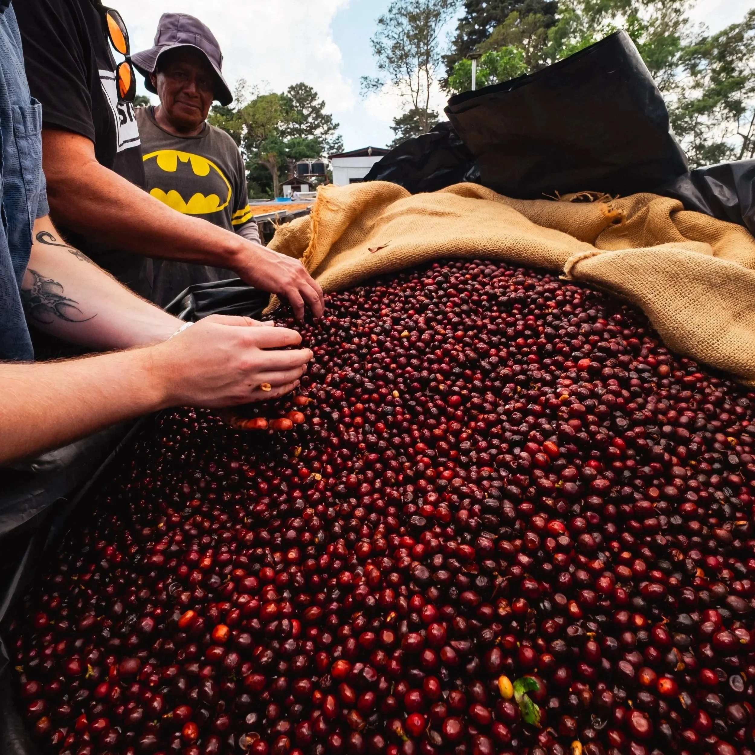 Boxcar Coffee Roastery — photo 6