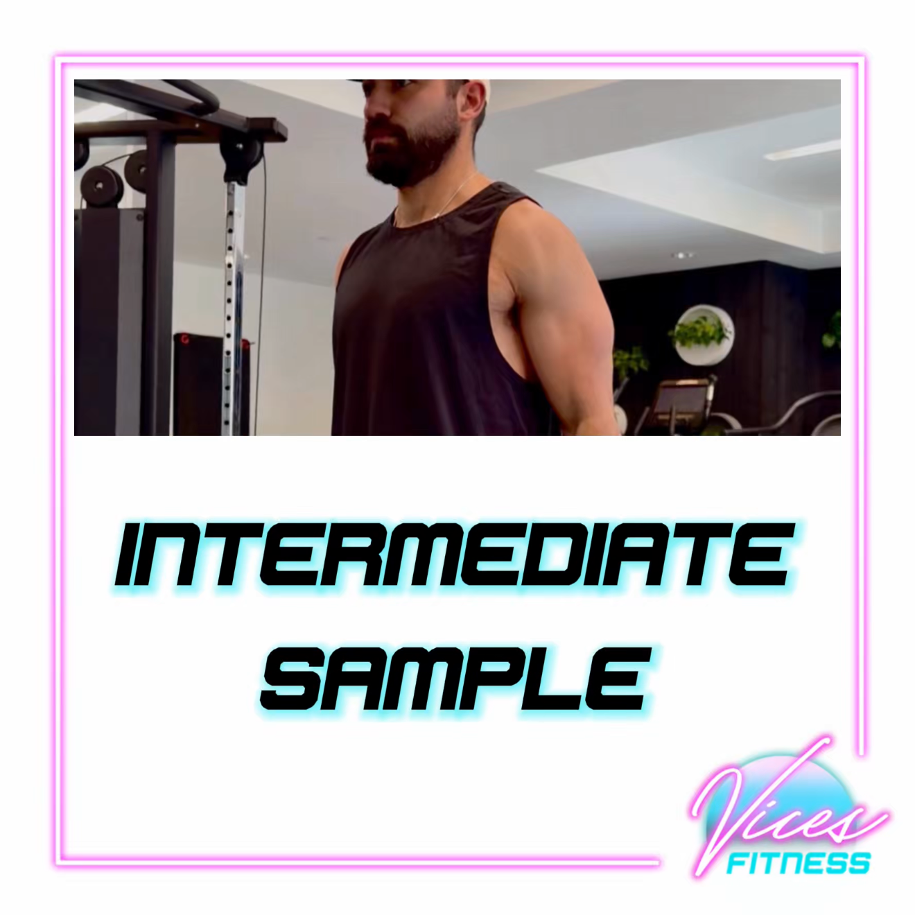 F.I.E. Intermediate Sample