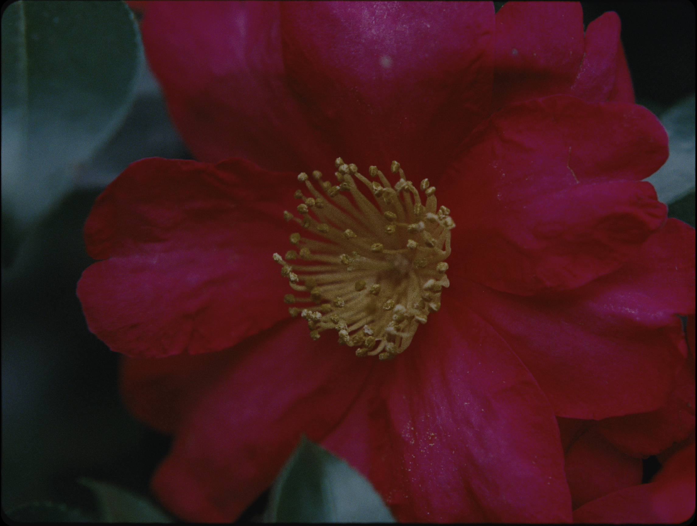 Screenshot 2026-02-25 at 7.06.08 PM.png