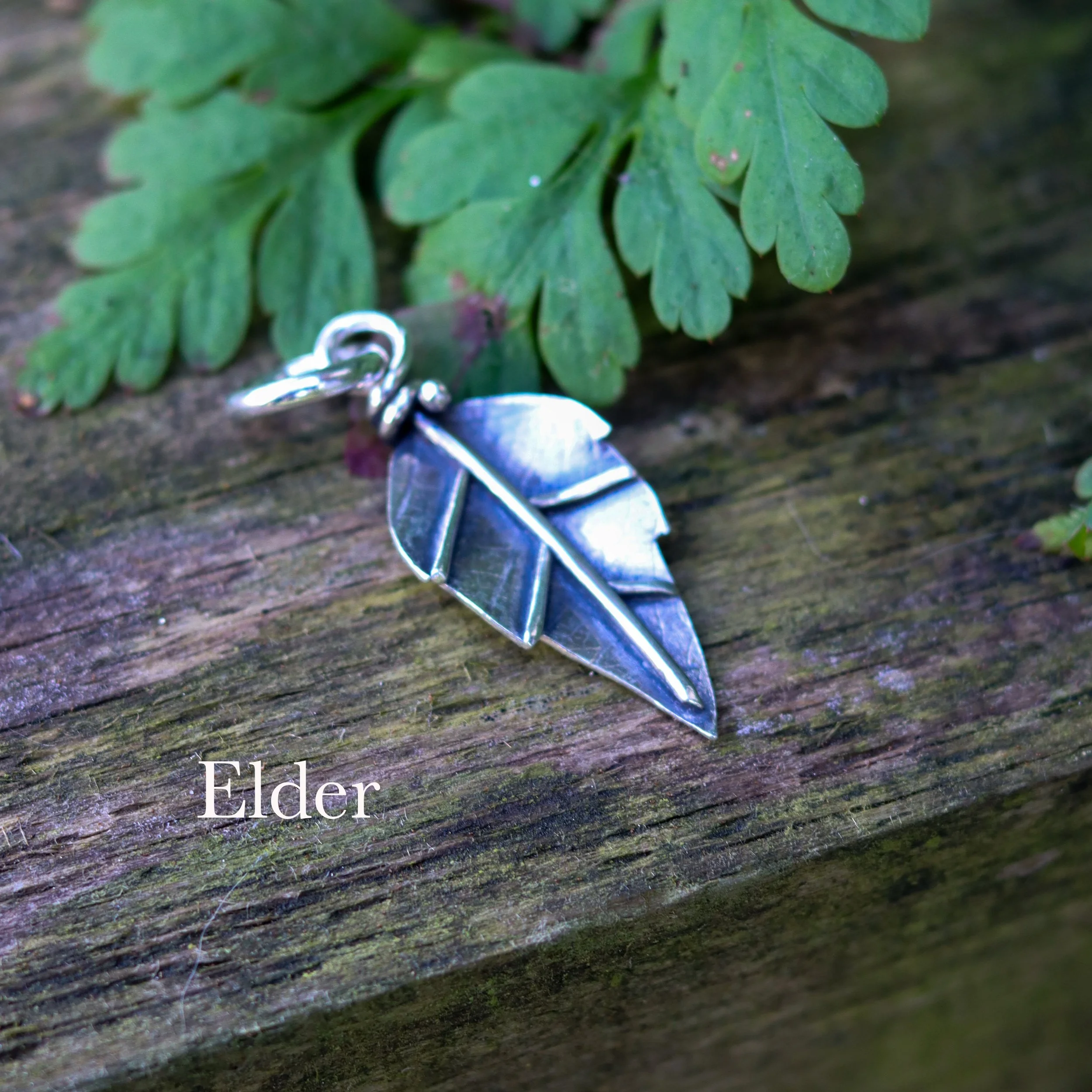 Celtic tree Elder_LRG.jpg