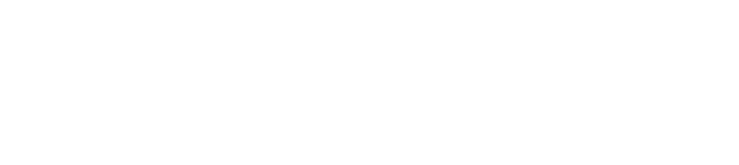 AFRICAN AMERICAN  LEADERSHIP INSTITUTE