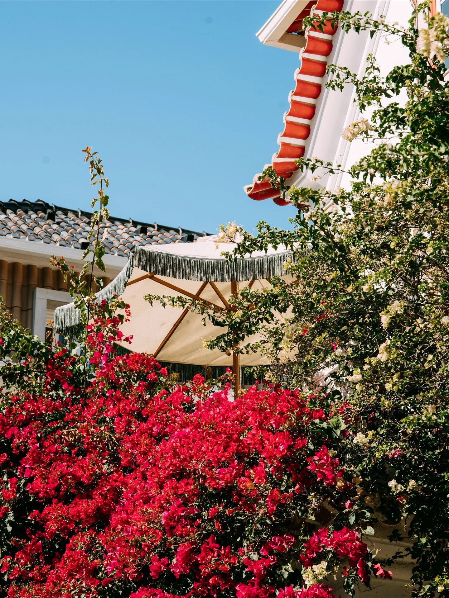 @thepergola_boutiquehotel shots from our recent trip! The dreamiest hotel in the best coastal town! We loved every little detail.