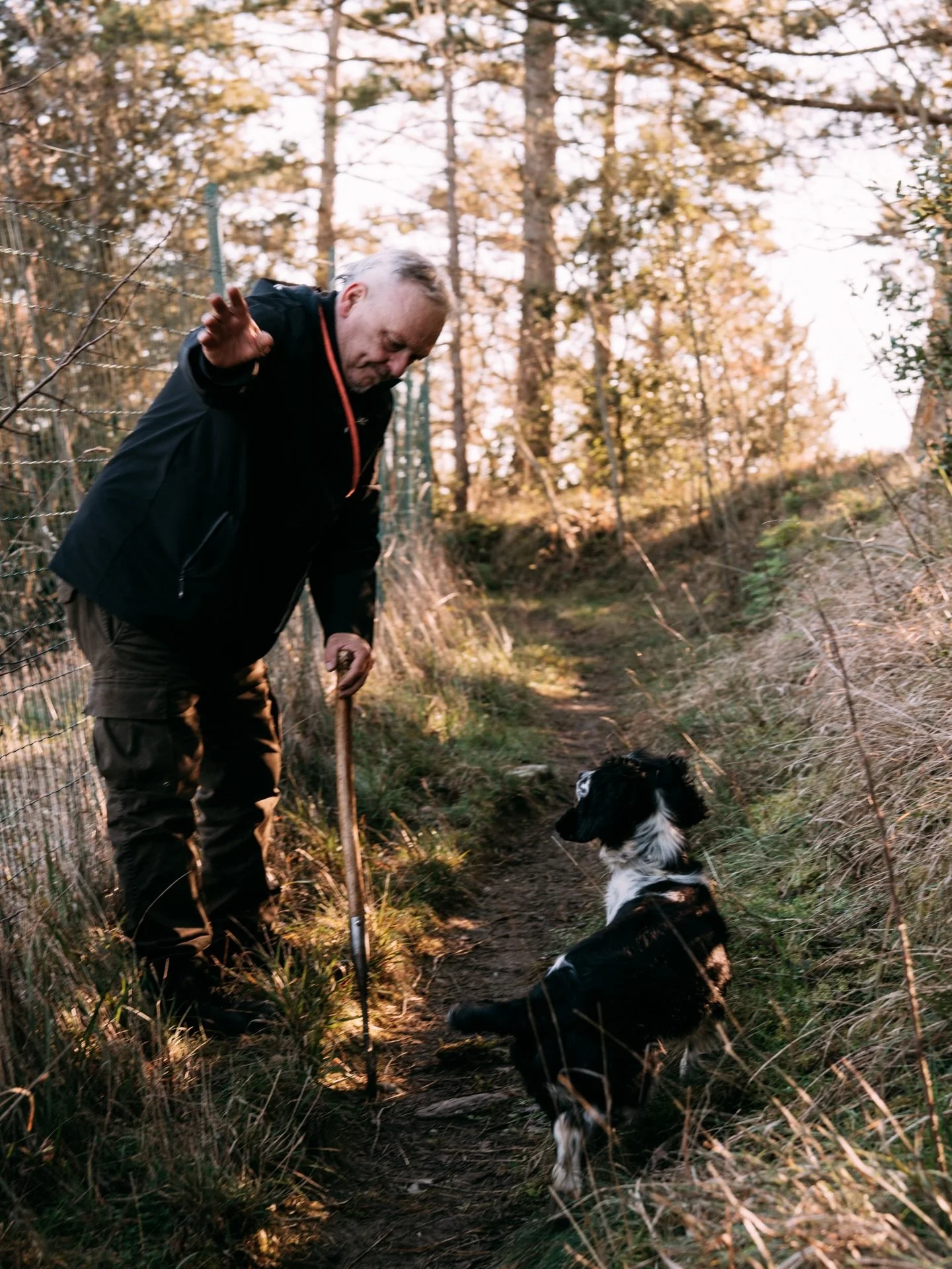 Nico no eat truffle!
Truffle hunting in cortona with Nico and Alessandro was quite an experience🐶