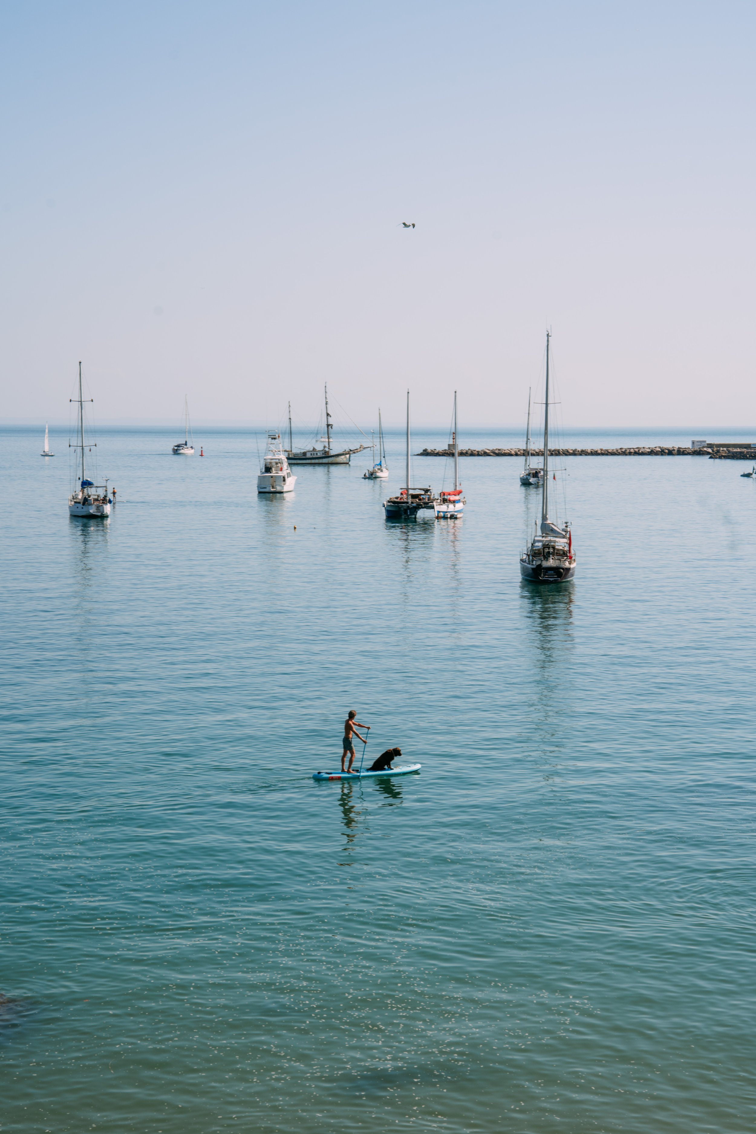 cascais-176.jpg