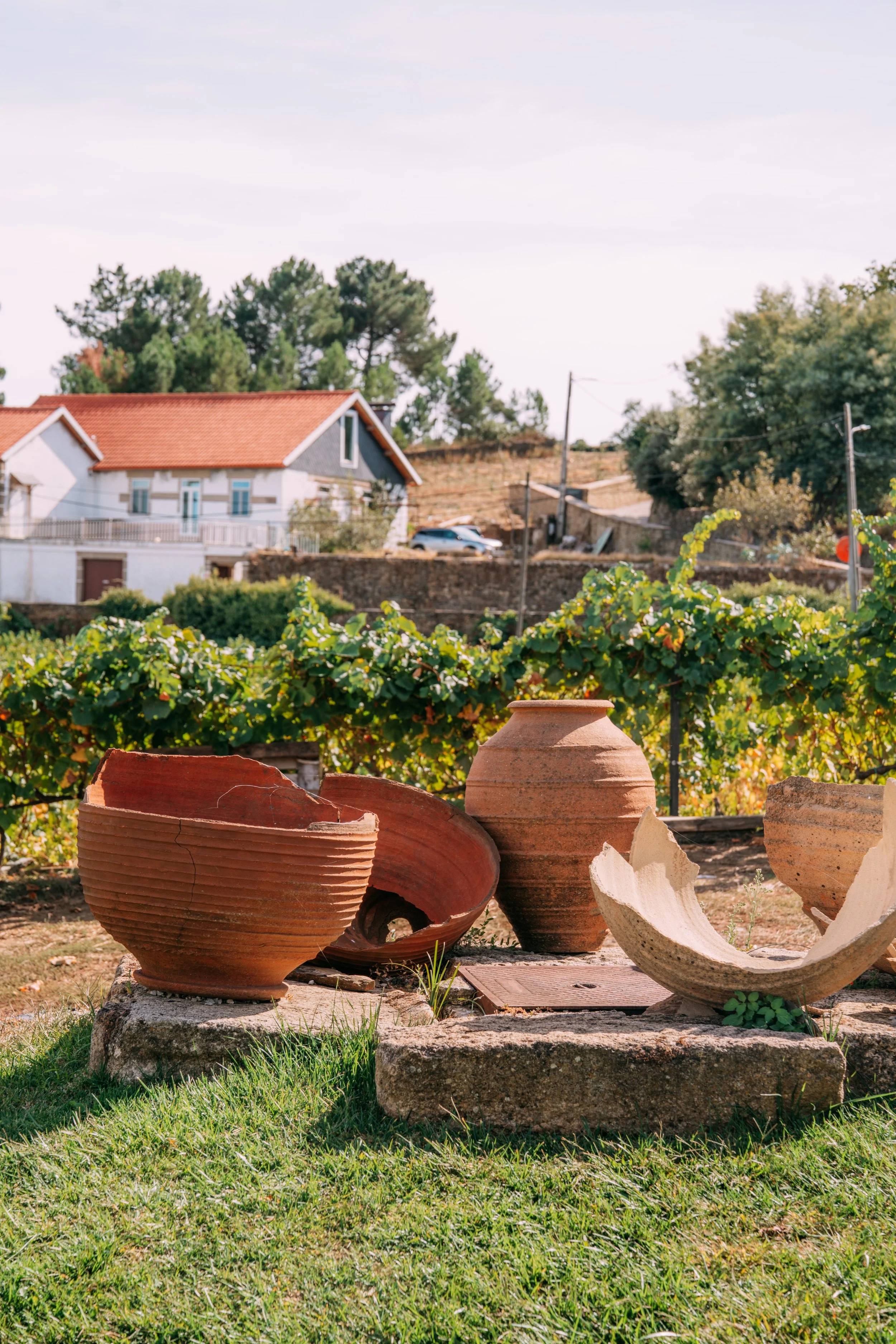 portowinetour-95.jpg