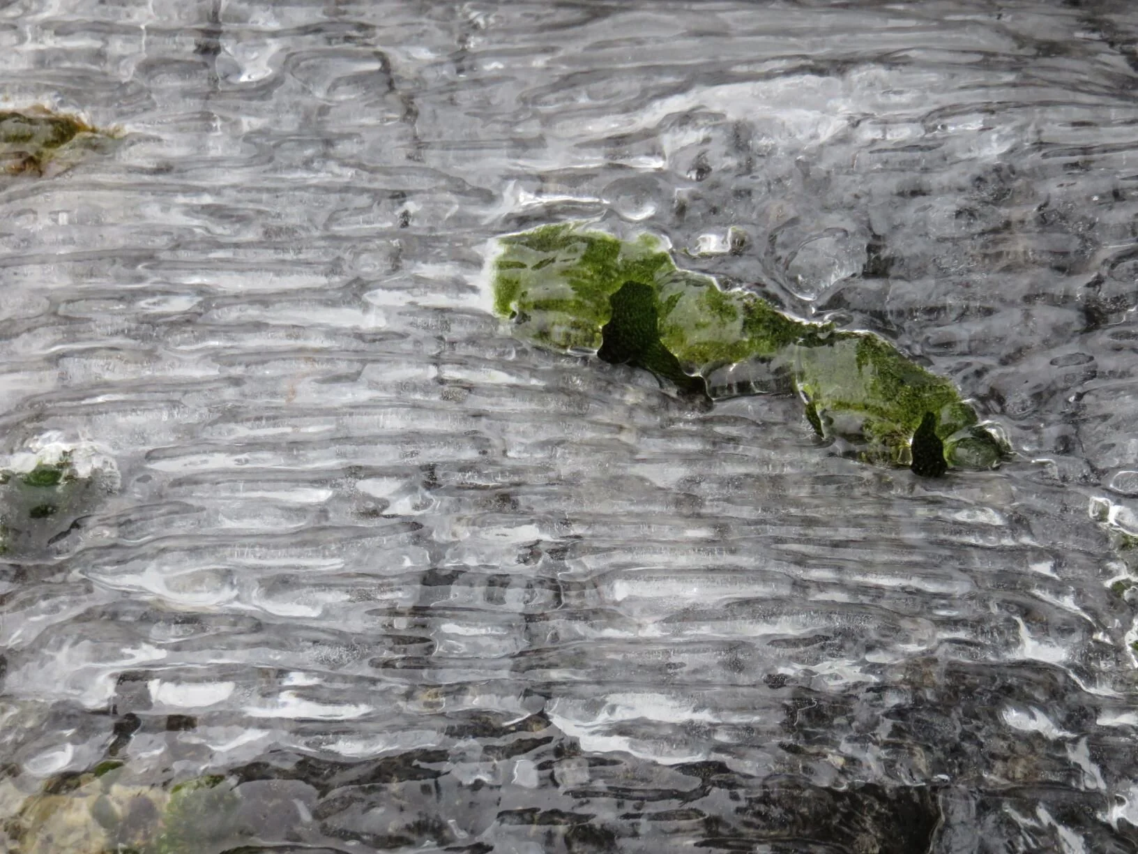 Roadside Attraction by Jonathan Scherer