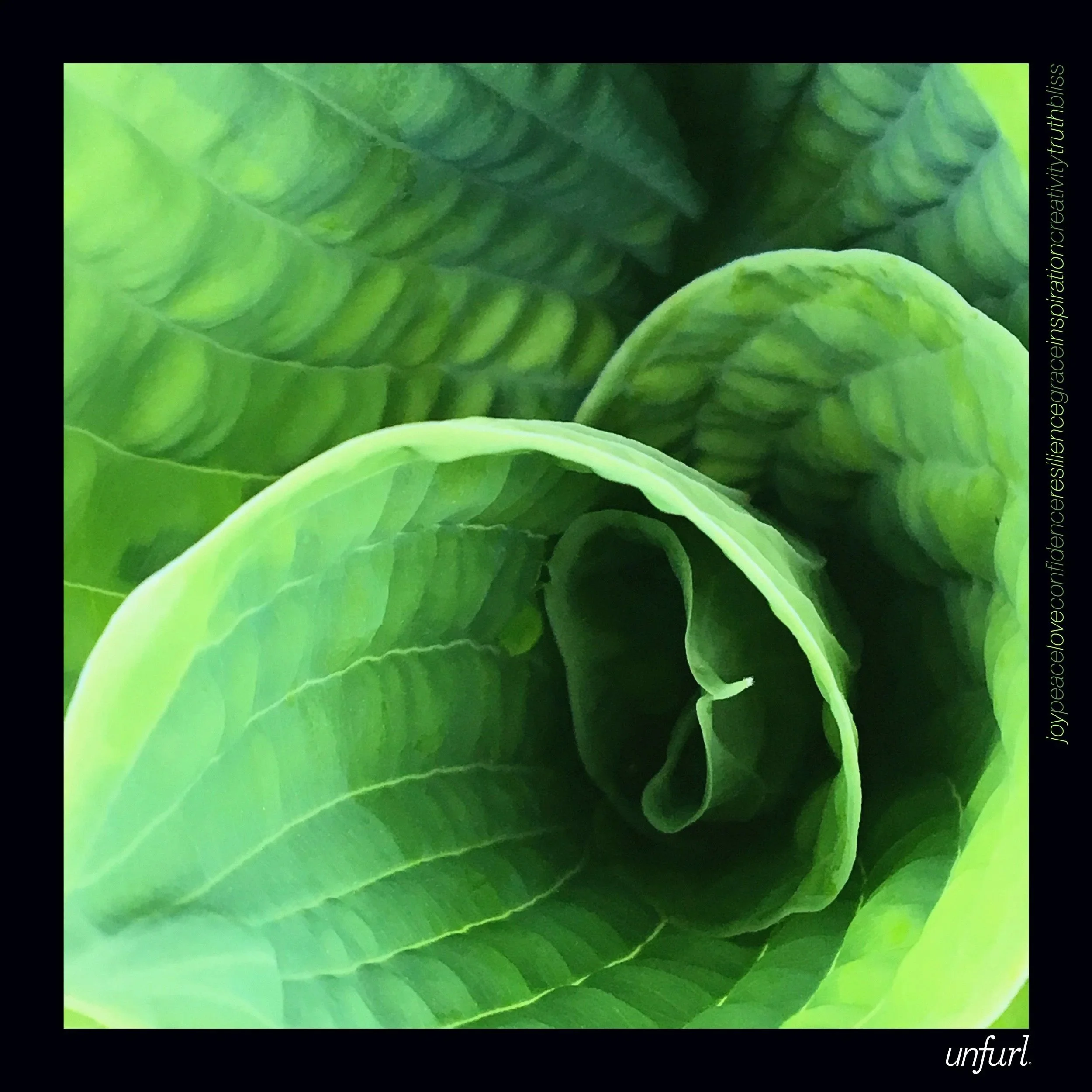 Unfurl_scarf_AOW_template.jpg