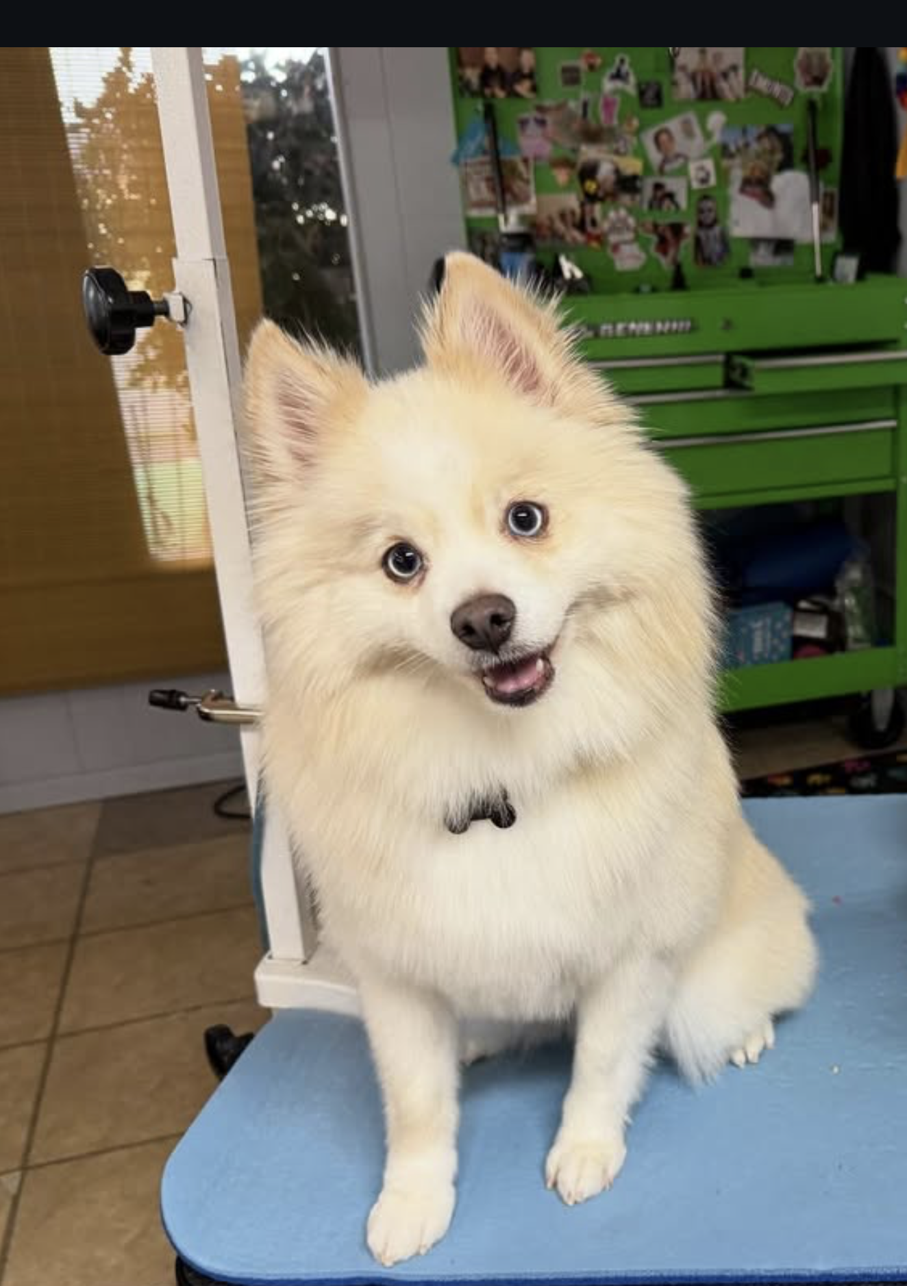 Screenshot 2025-12-10 at 9.40.05 PM.png