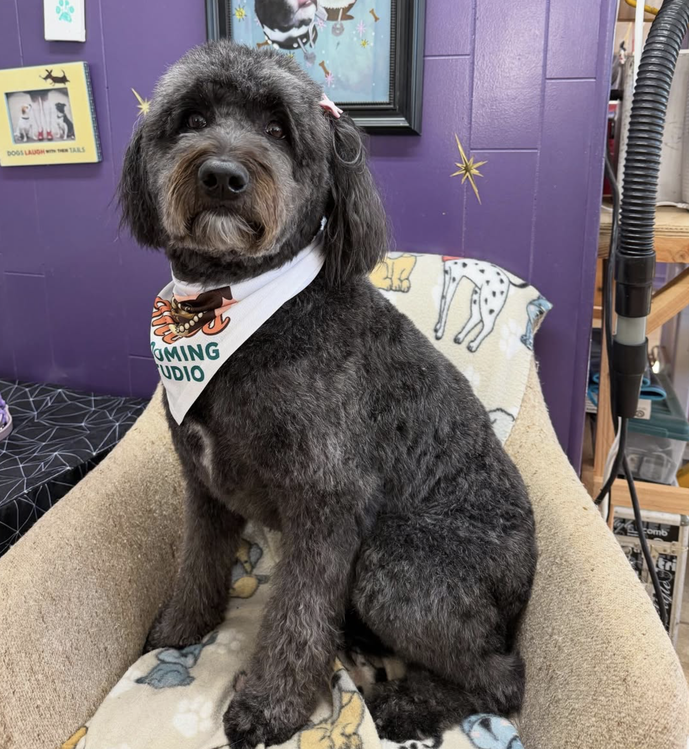 Screenshot 2025-12-10 at 9.38.23 PM.png