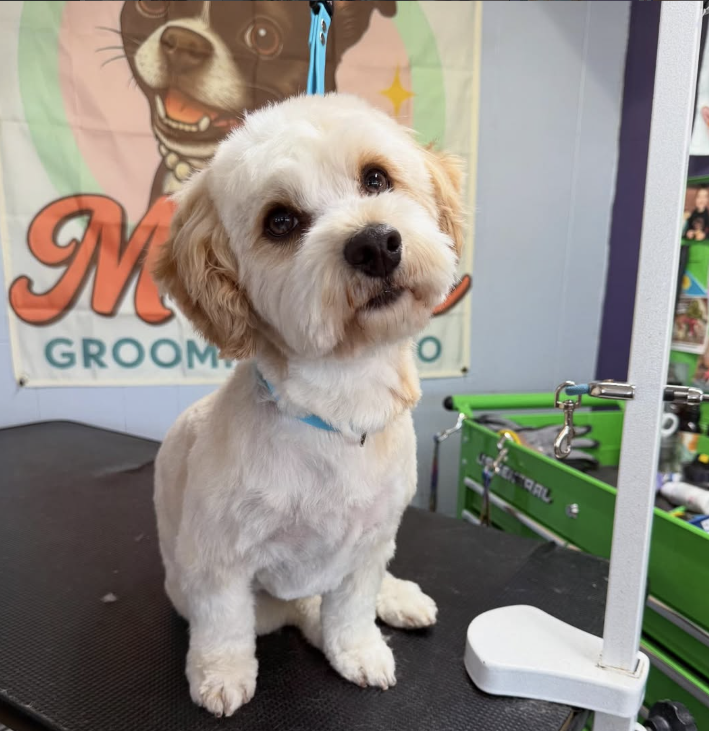 Screenshot 2025-12-10 at 9.40.55 PM.png