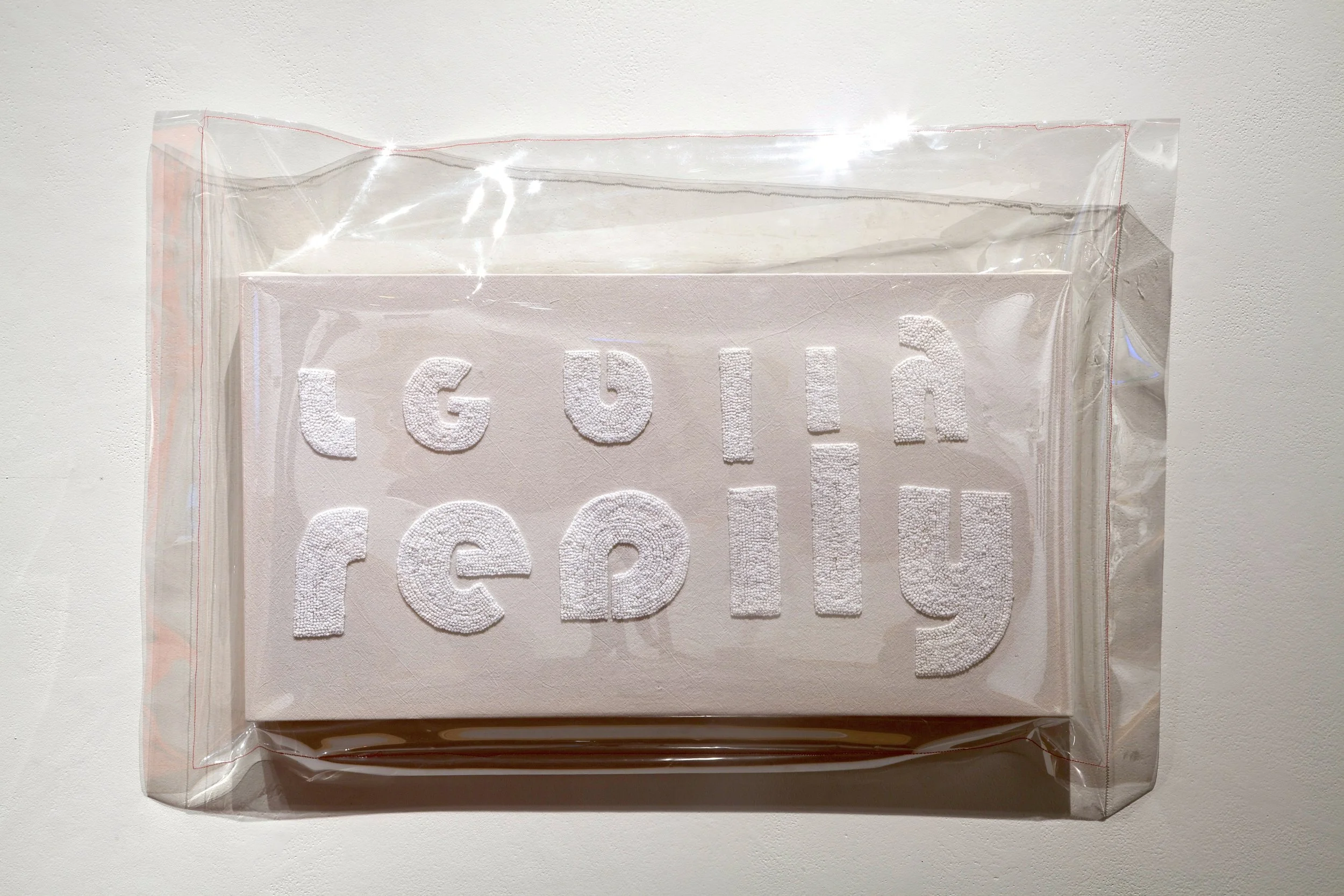Barrier #2, 2013, Embroidery floss on muslin under a sewn vinyl package
