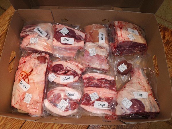 lambbox copy.jpg