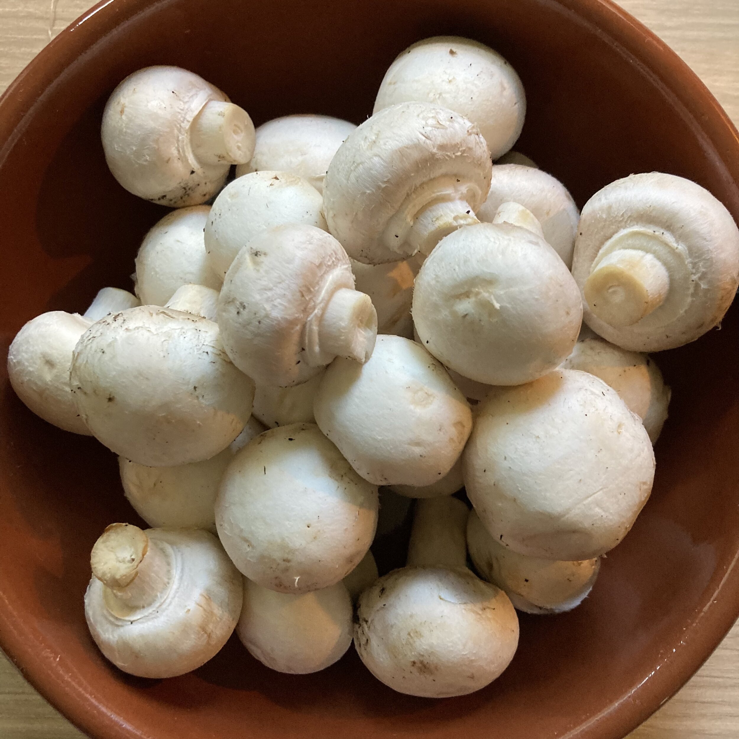Button mushrooms.jpeg
