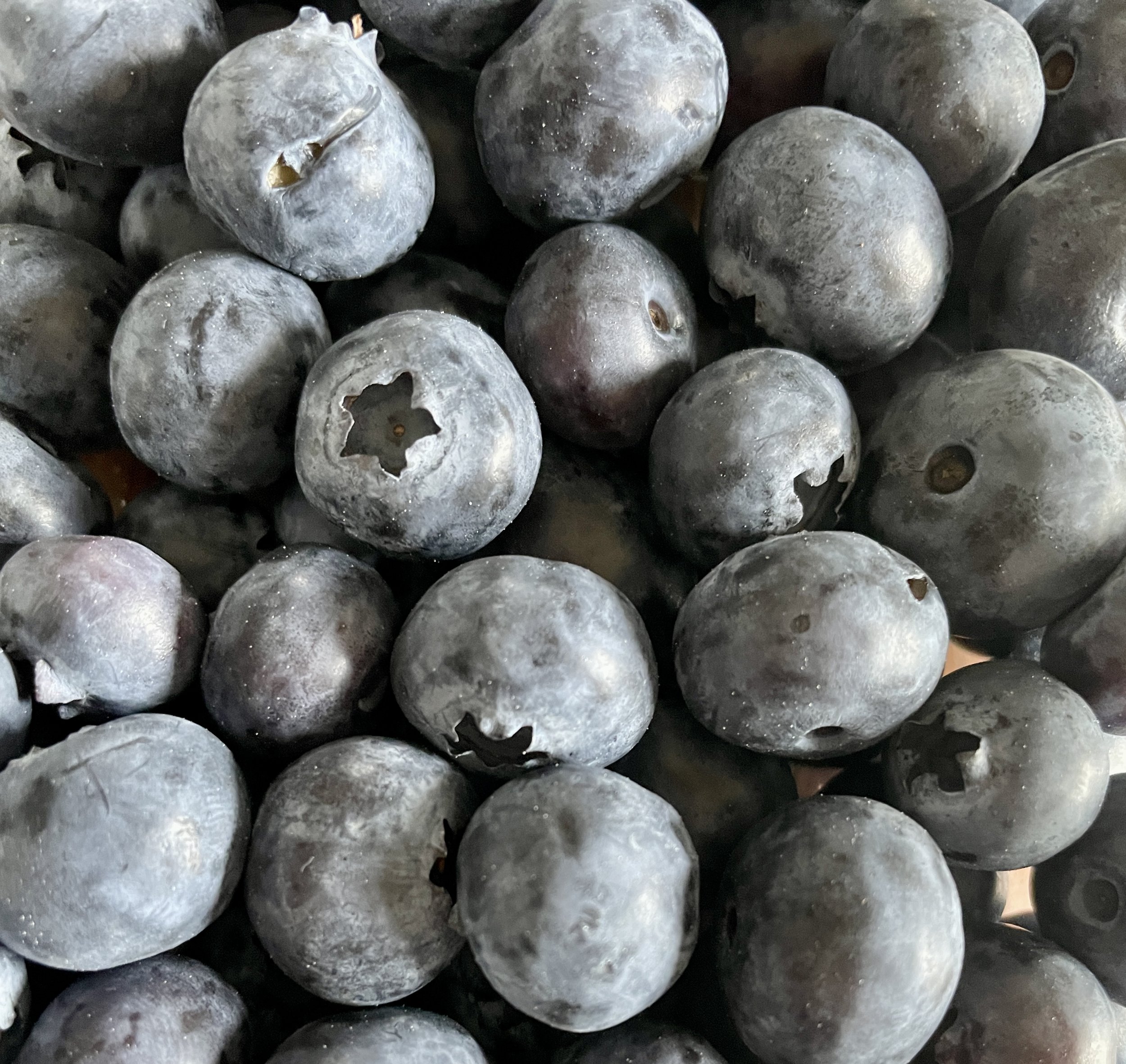 blueberries.jpg