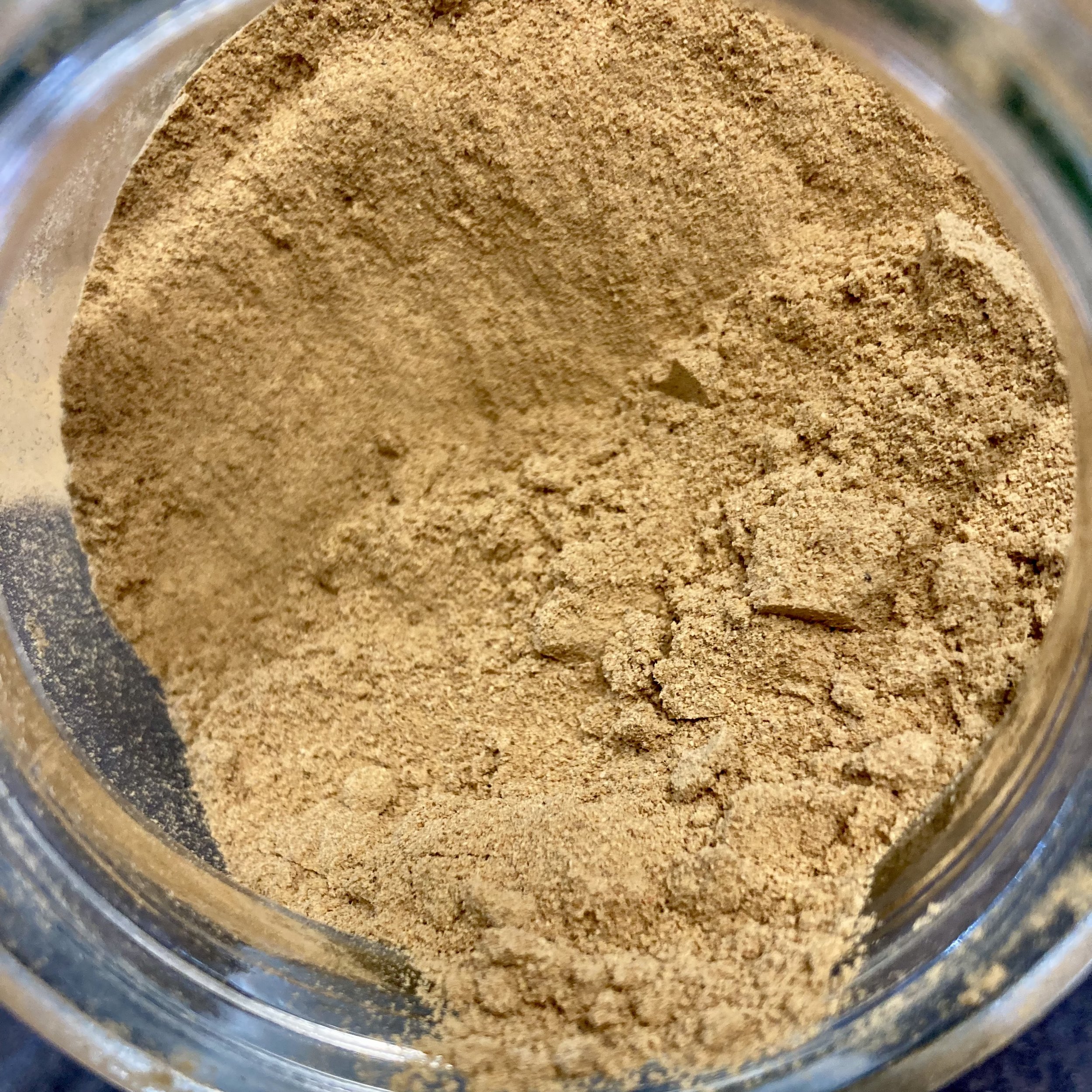 ginger ground.jpeg