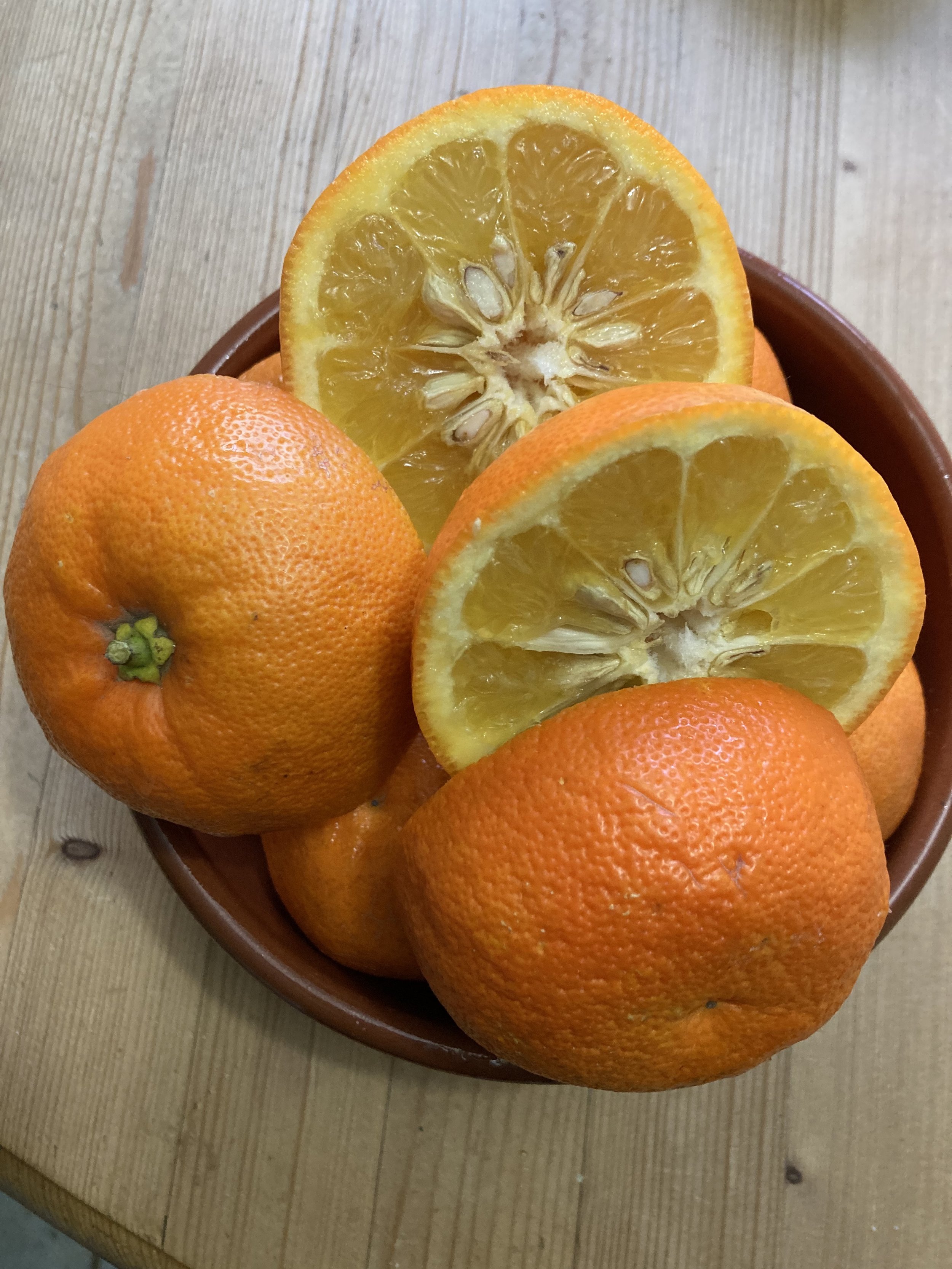 seville oranges.jpeg