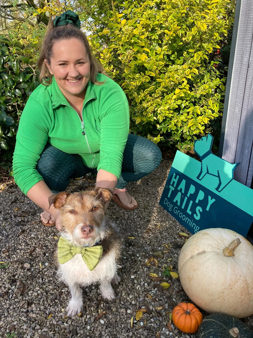 Handstripping Happy Tails Dog Grooming