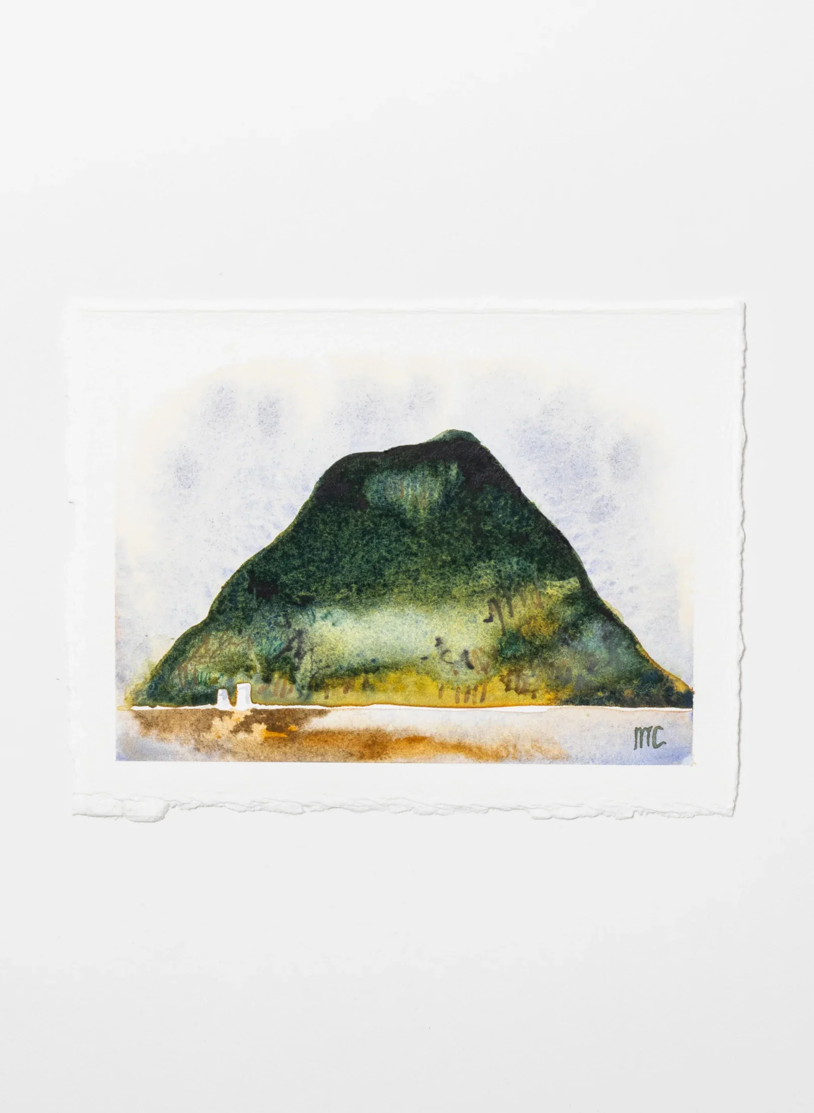 Mauao Study 1