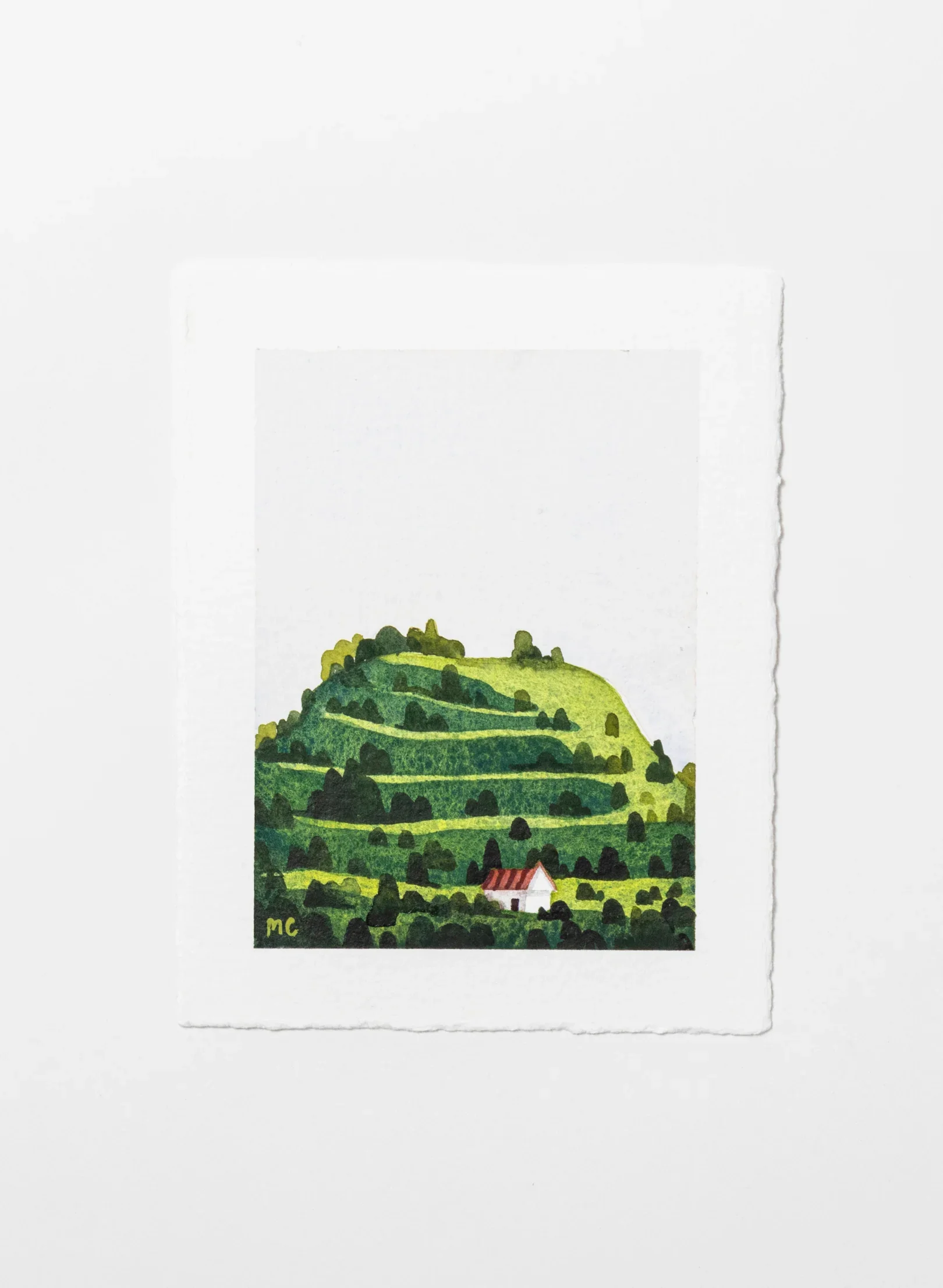 Mt Eden / Maungawhau II