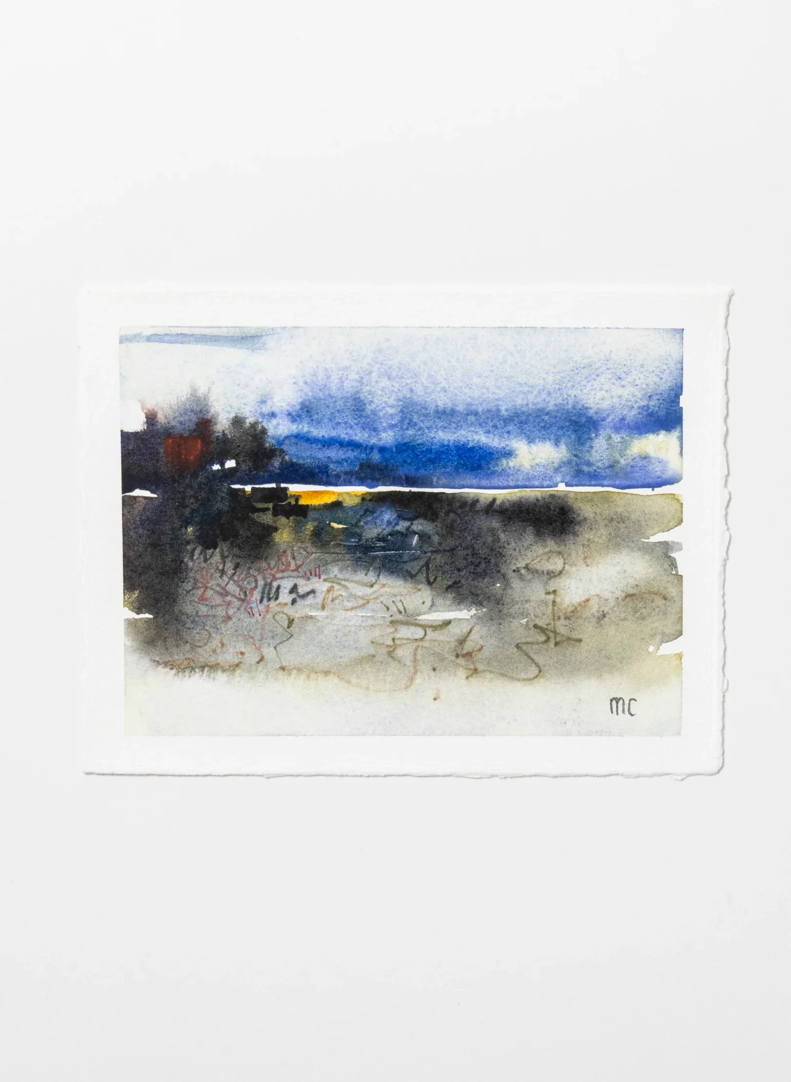 Mangrove Study I