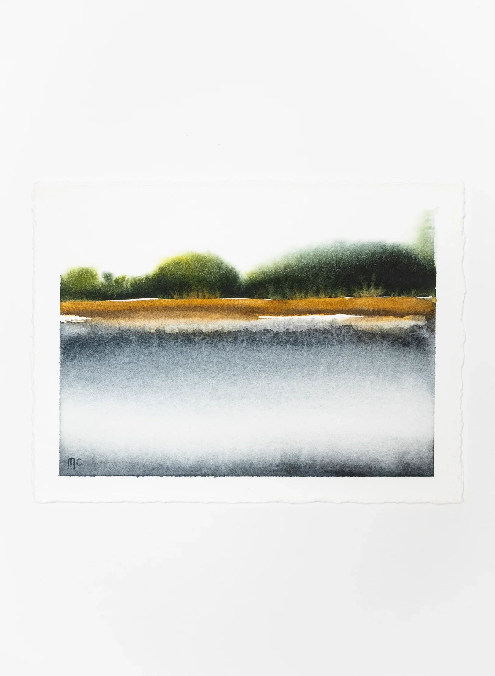 matakana island 1.webp