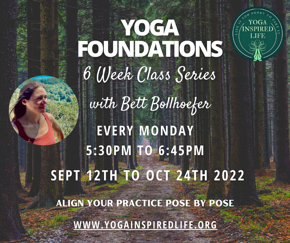 Foundations Series: Beginners Yoga