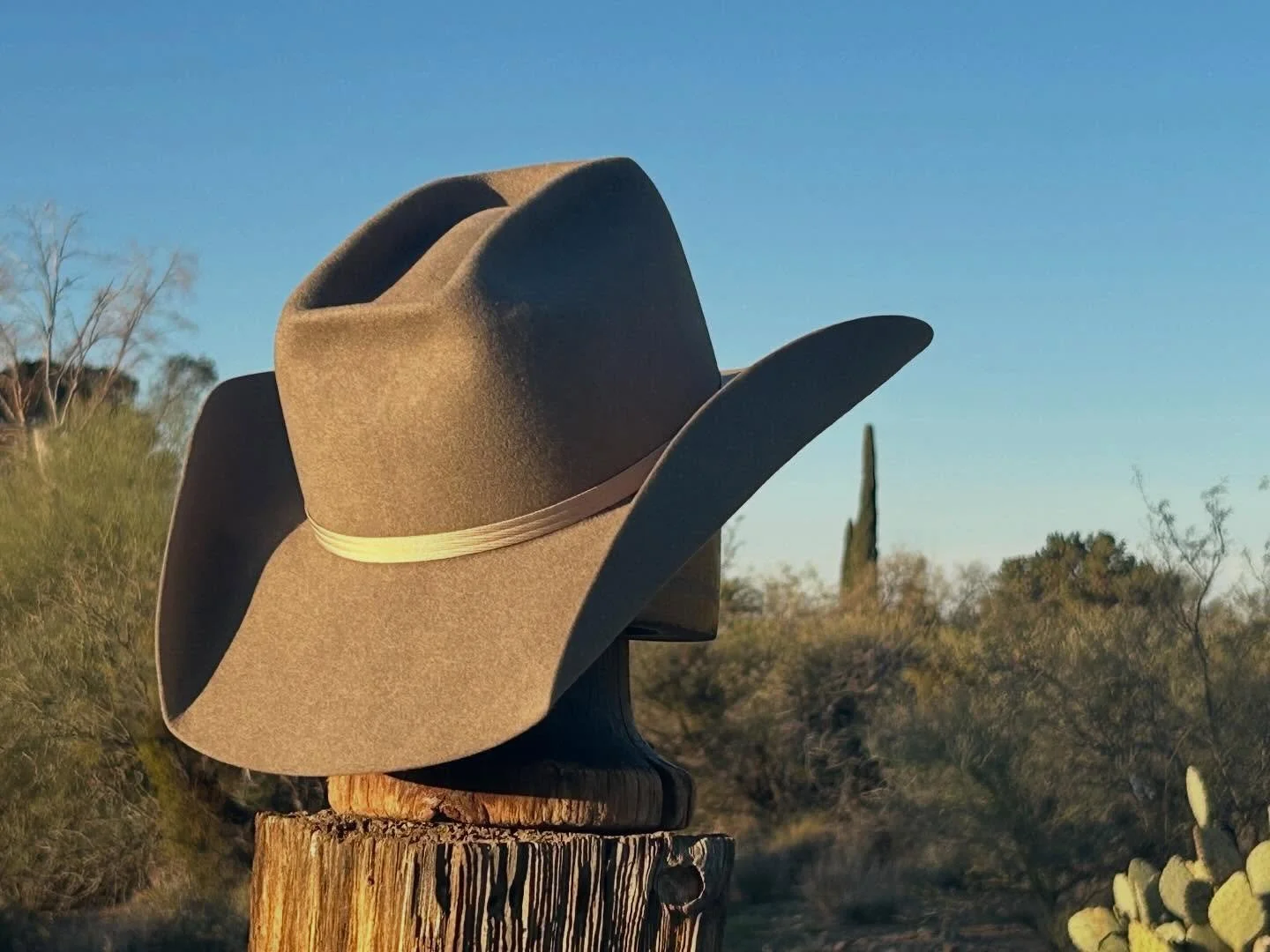 So I saw where a hat shop in Texas called this shape the &ldquo;Hornet,&rdquo; lol I can see it I guess! Either way, I really like this unique combo of the Canadian crease on top with the Mule kick. It gives off a 1950&rsquo;s vibe to me, and I reall