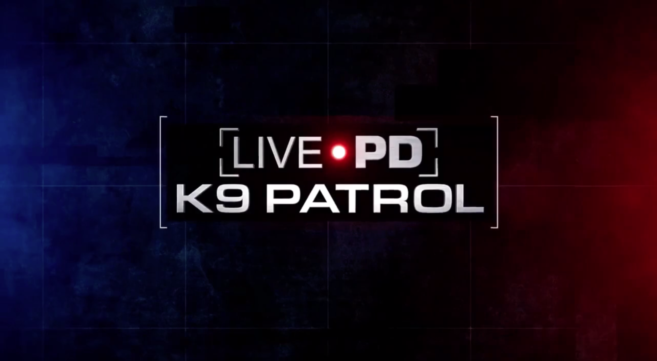 K9 Patrol