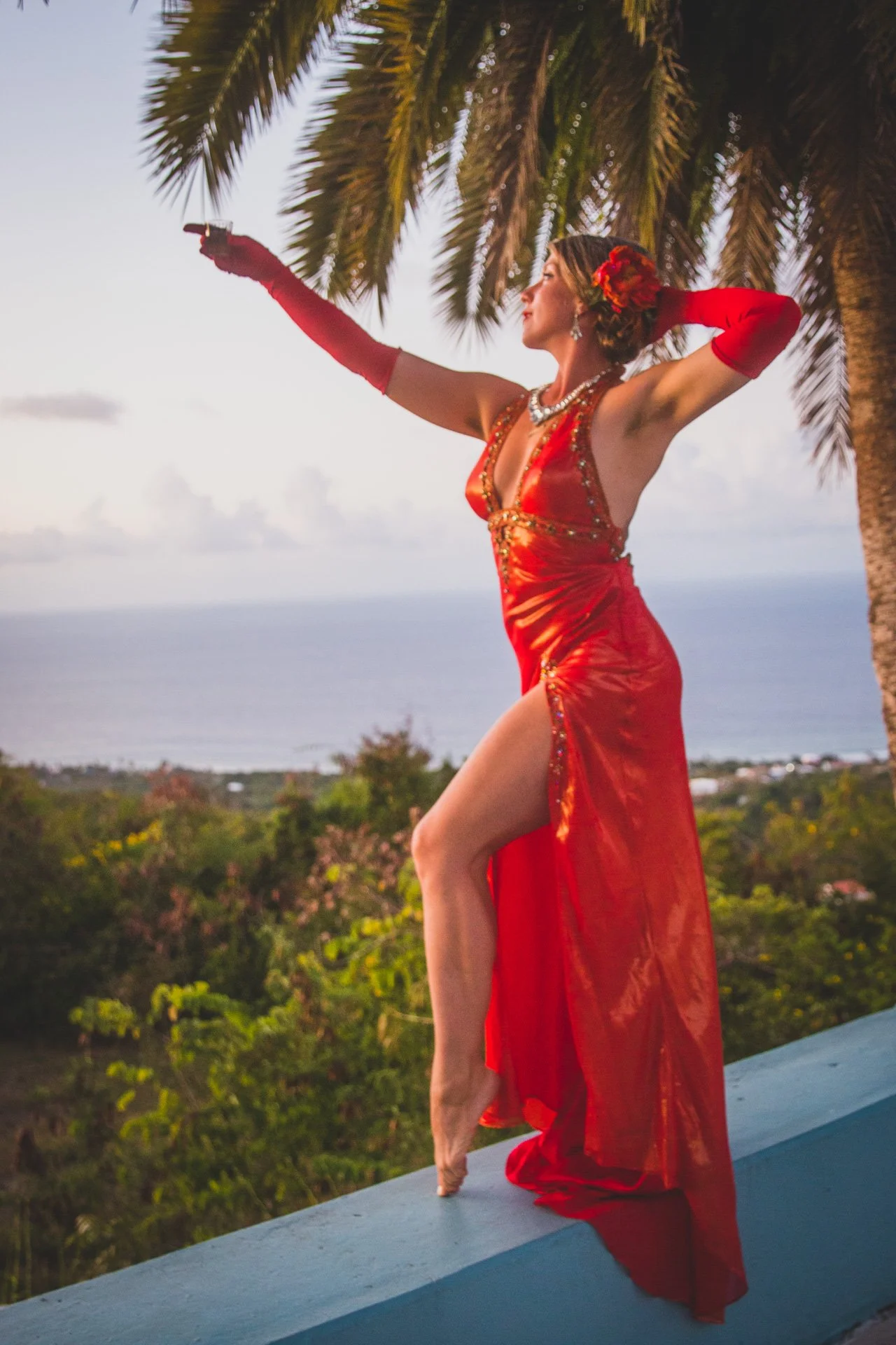 Brooklyn's Reverie at the Albion Manor 