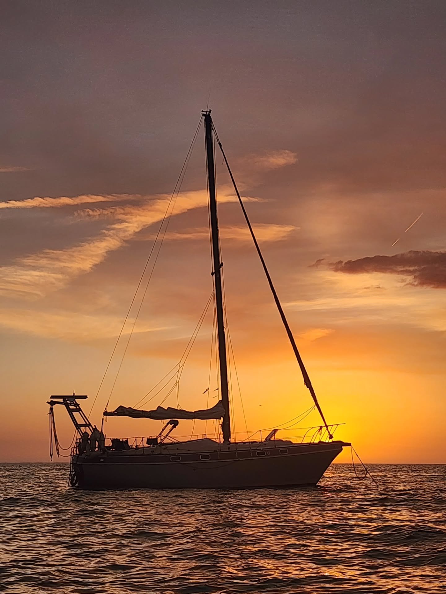 Get off your phone :) and into nature. 
♡
Sailing is yet another way we immerse into the beauty of the natural ✨️ world... which IS the world. 

To come back to center
And
To spend time BEING rather than hustling. 

Xo
Get out there. 
Today. ♡