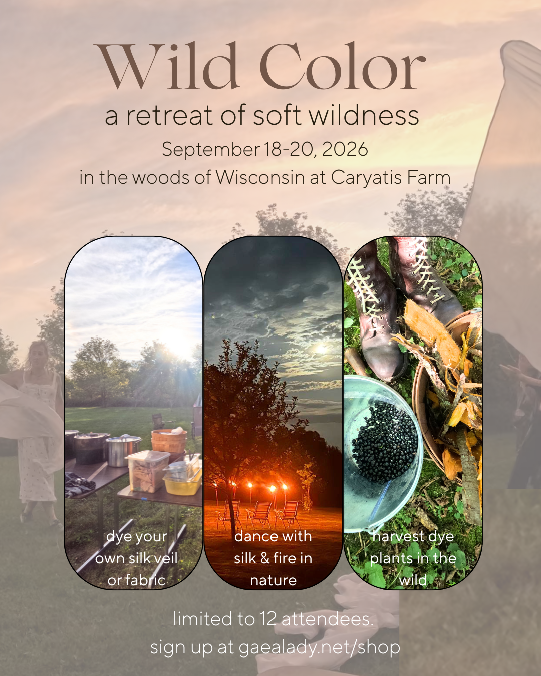 Wild Color