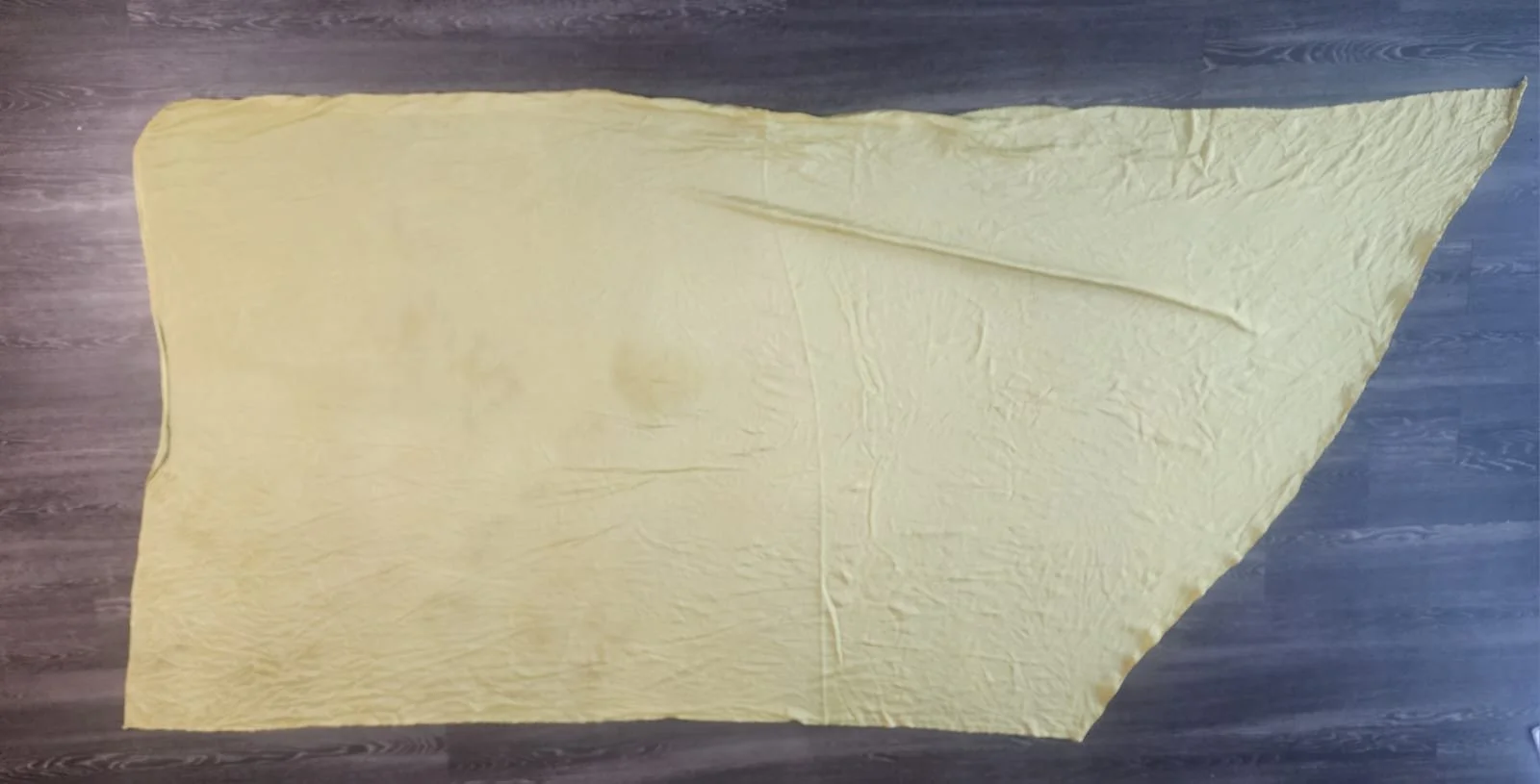 Caryatis Gold (tail) 9ftx55in 8mm lightweight.jpg