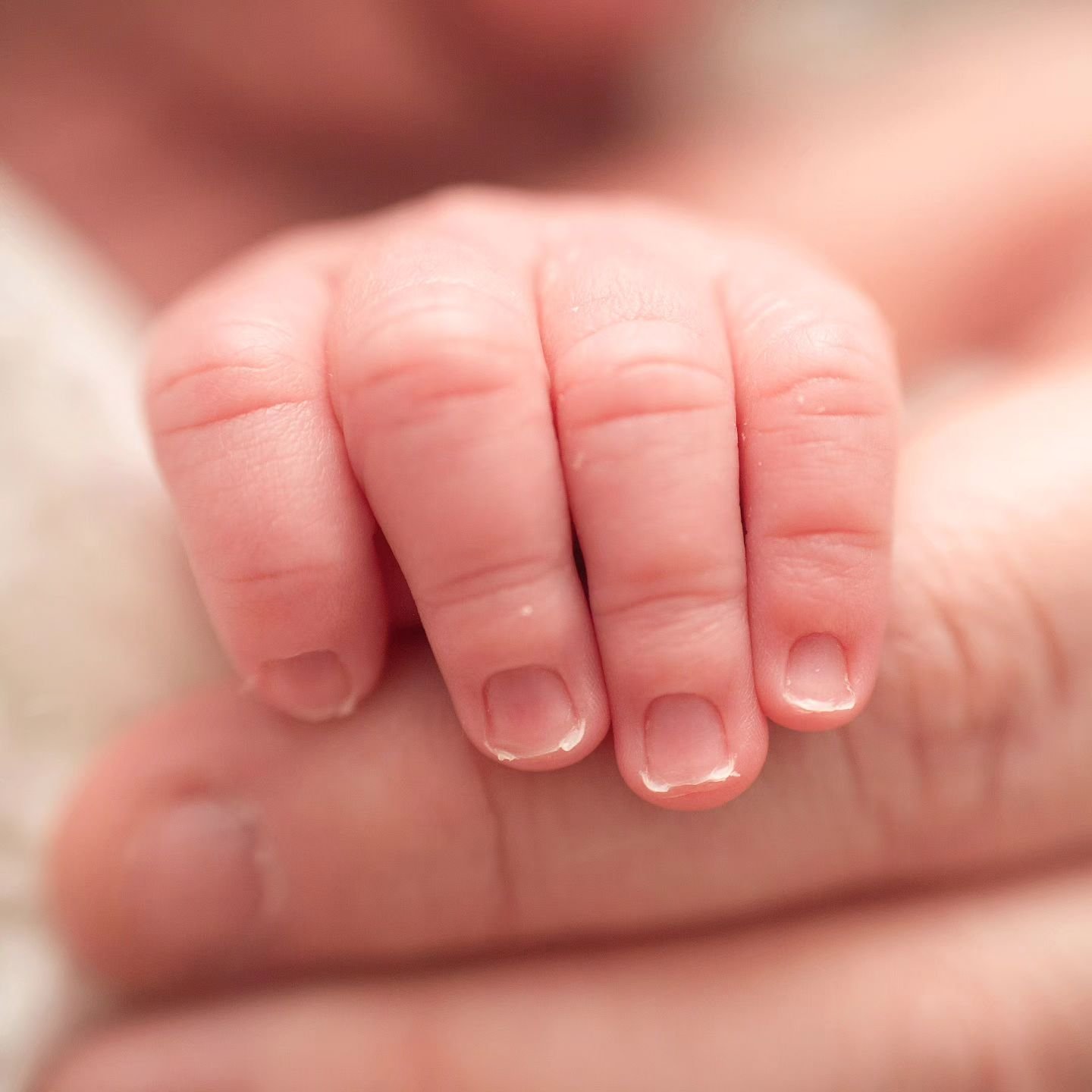 A must-get photo for newborn sessions! Baby grasping parent's fingers 😍 What are some other must-gets that you'd love to have from a session?