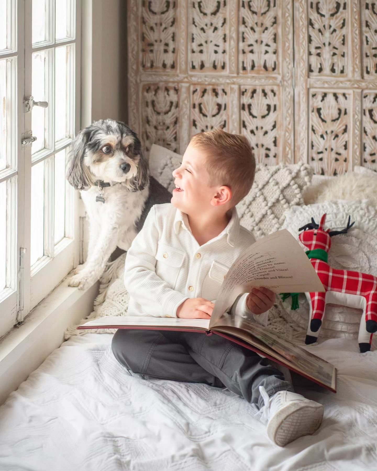 Loved how many doggies came to holiday minis this year