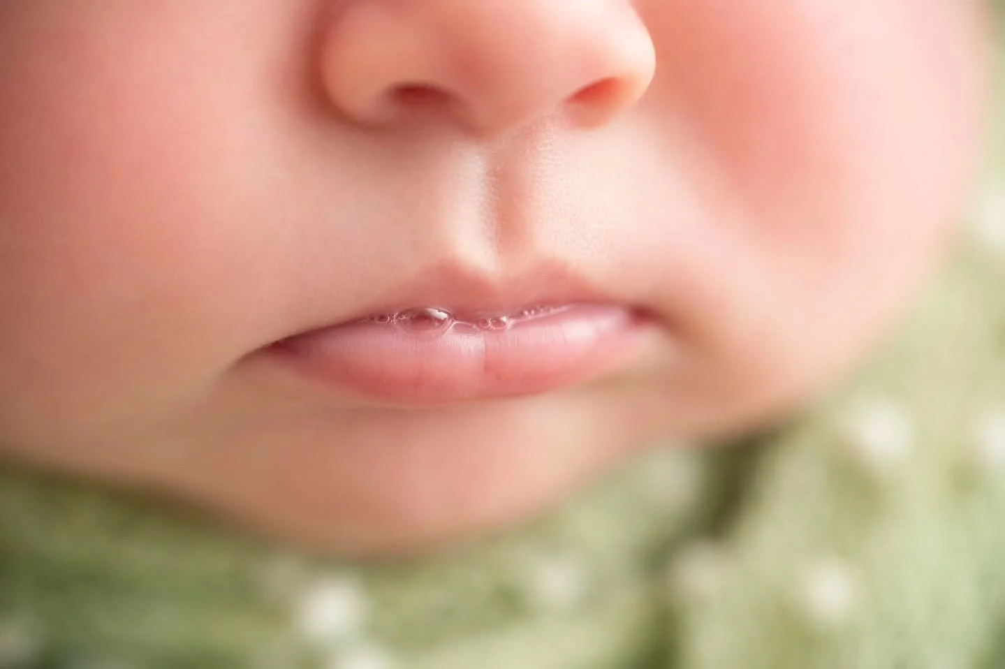 Gentle reminder to please book your newborn session BEFORE baby arrives, not after. It's busy season for us photographers and most of us book several months out. Please book photos in advance so you don't miss out on a spot. Thanks!