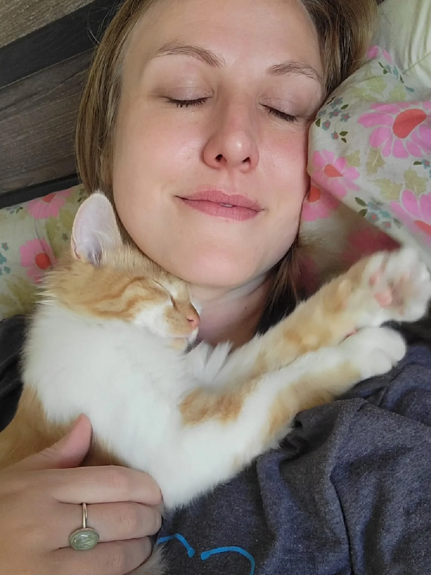 Please say hello to my new son, Mikey! Short for Michael Marmalade McCarrel 😻 he spent our first night together kneading biscuits on my face