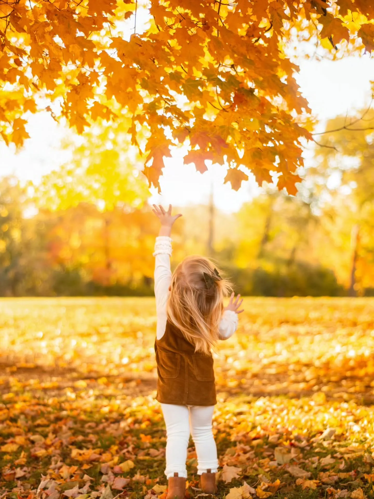 Ok I hid a Mikey in here and tried to make it harder than last time since everyone said the others were too easy. But now do you think I made it too hard?? Comment a 🐈 when you see him!