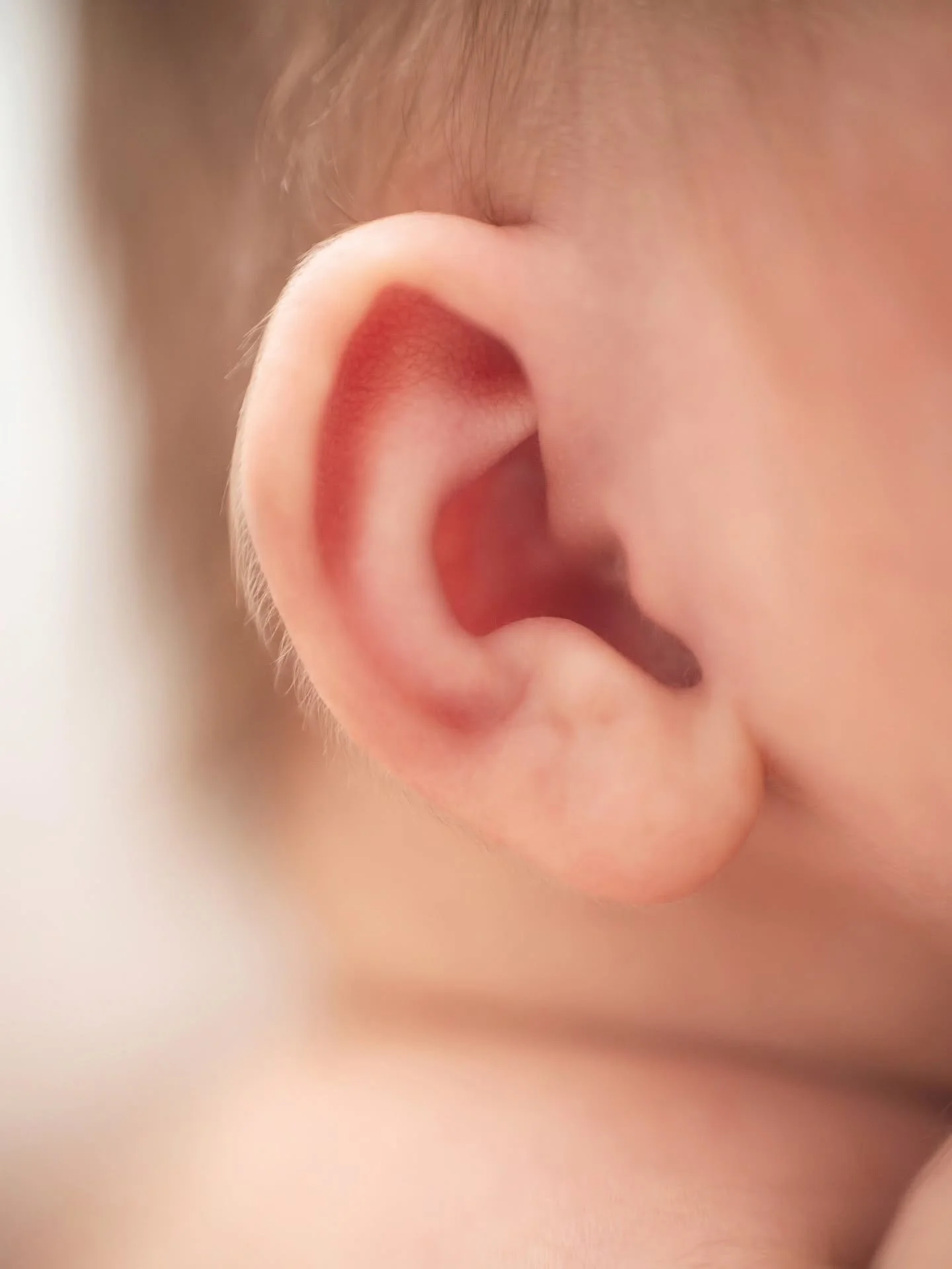 Newborn ear fuzz 🥹