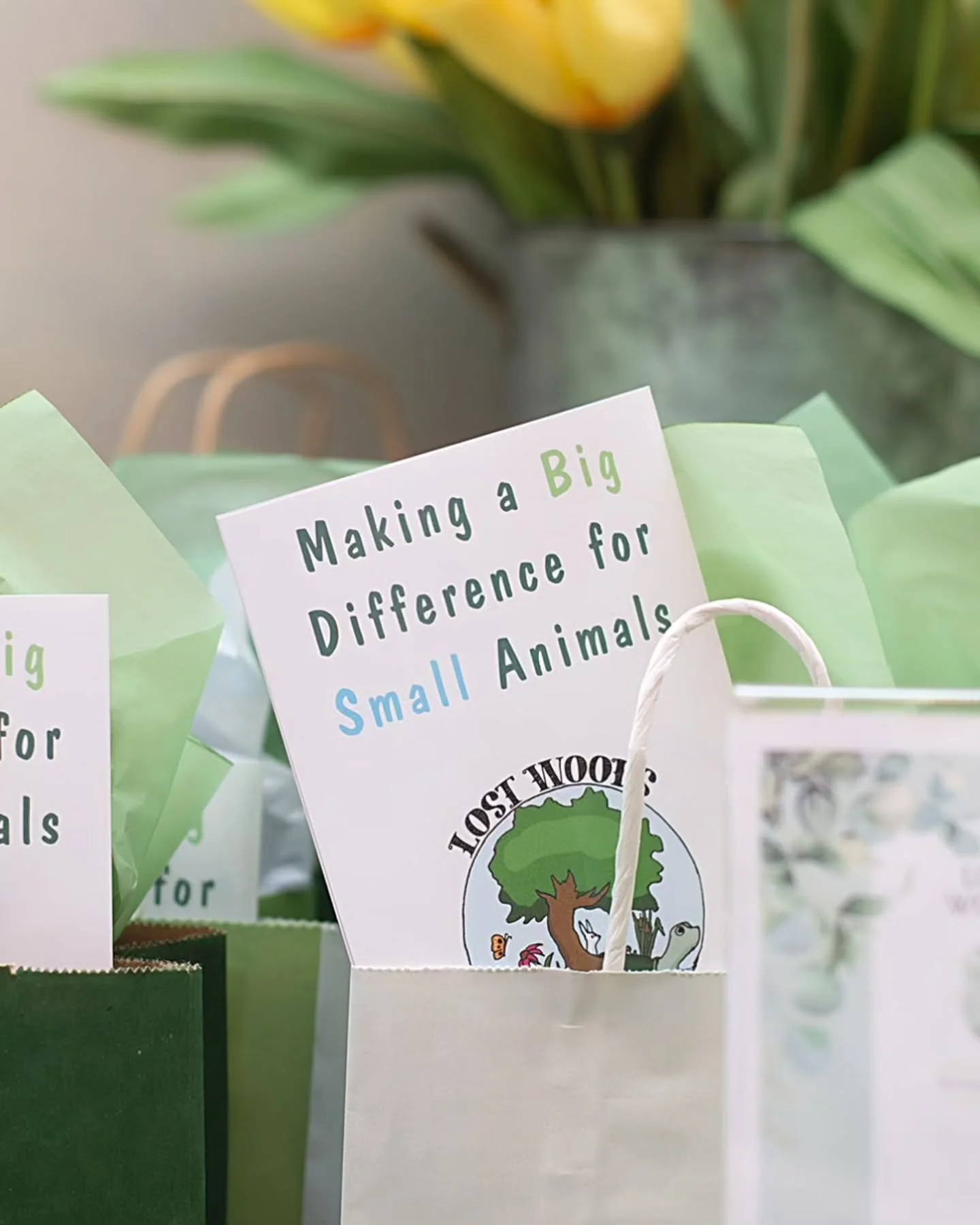 The @lostwoodsanimalsanctuary gala was so heartwarming! Critters and humans alike all had a great time celebrating! Thank you Cat + Mary Pat for letting me document all the cuteness and merriment!