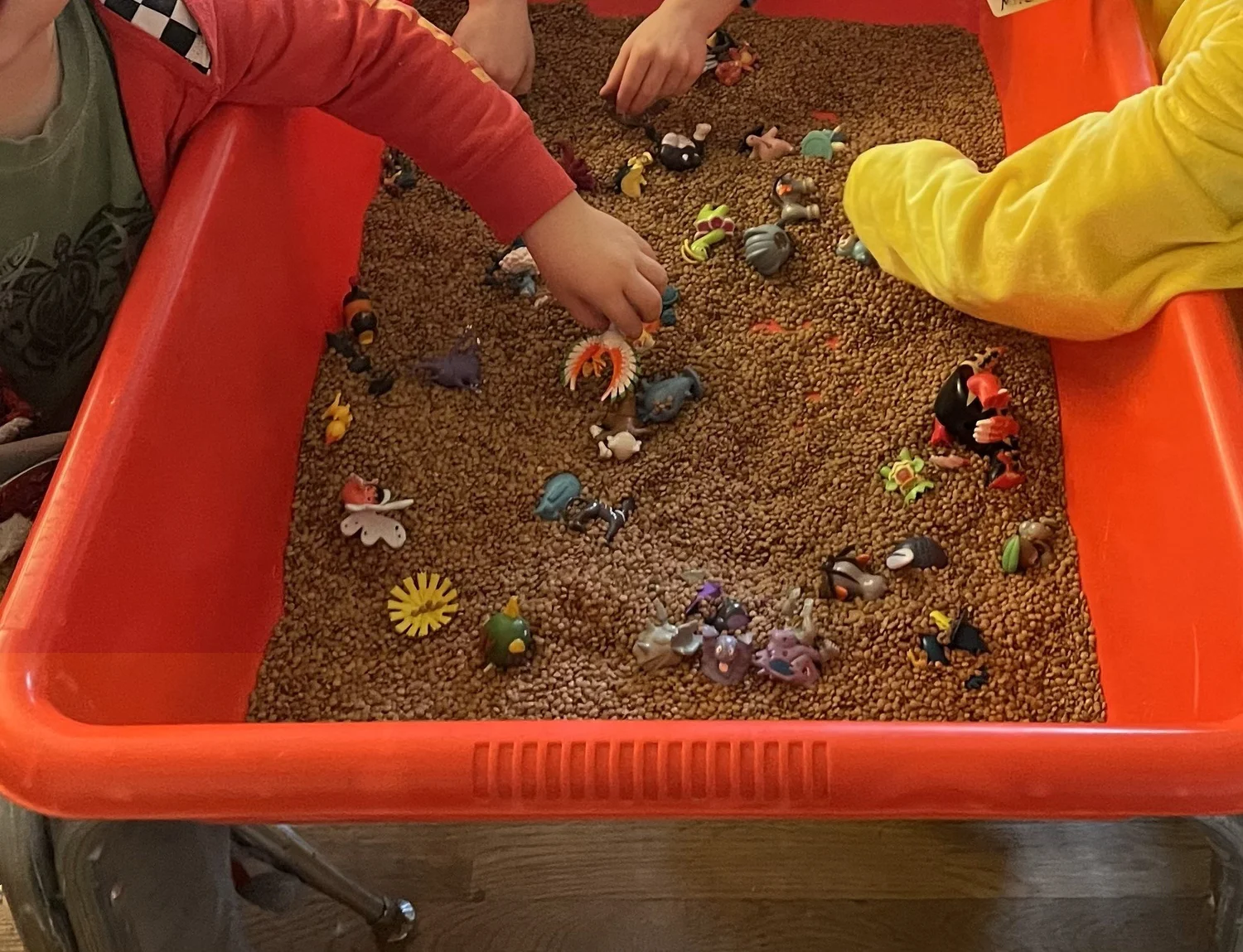 Sensory | Discover Sensory Learning Today — Tall Trees Licensed Home ...