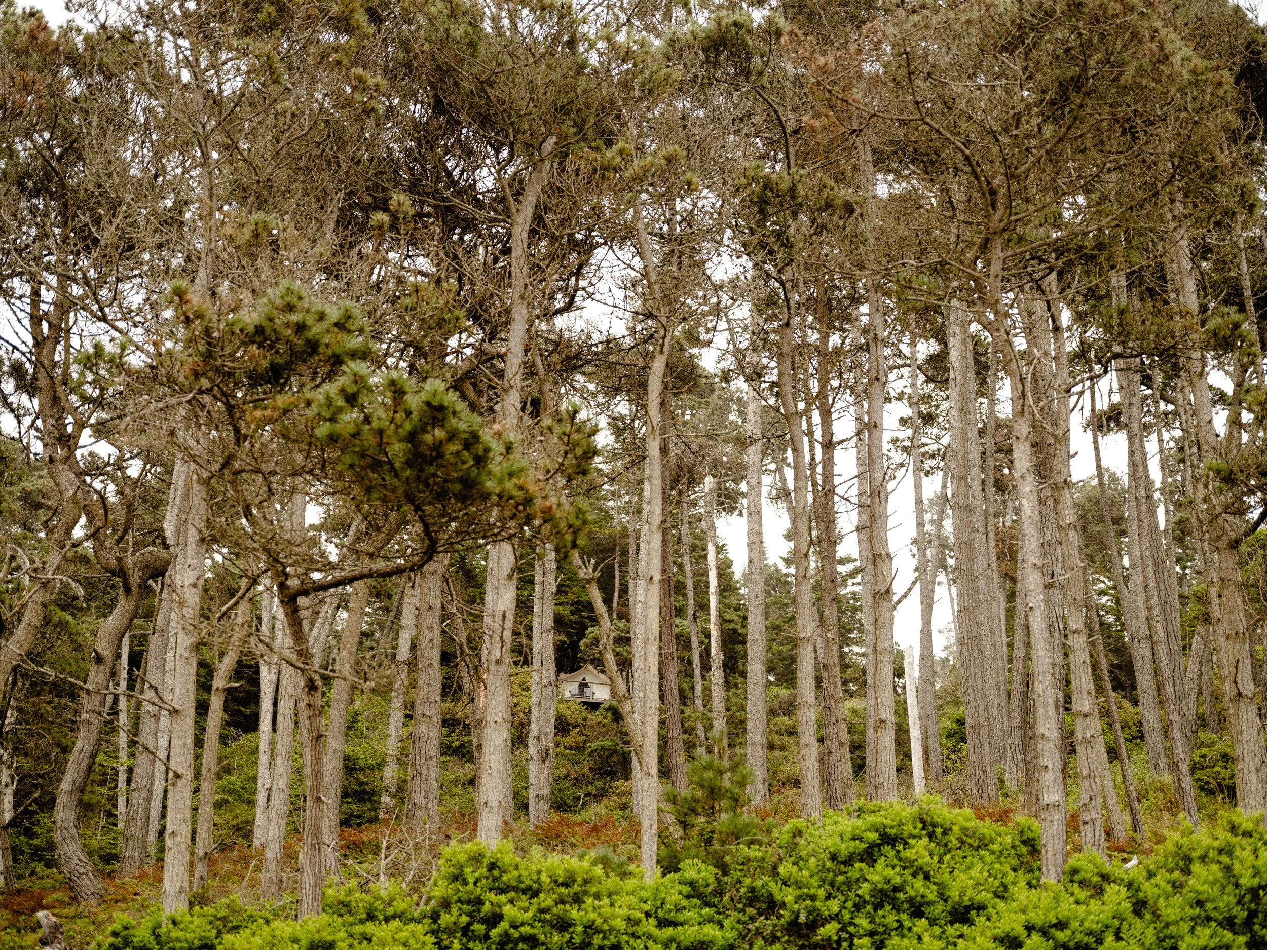 DSCF8402.jpg