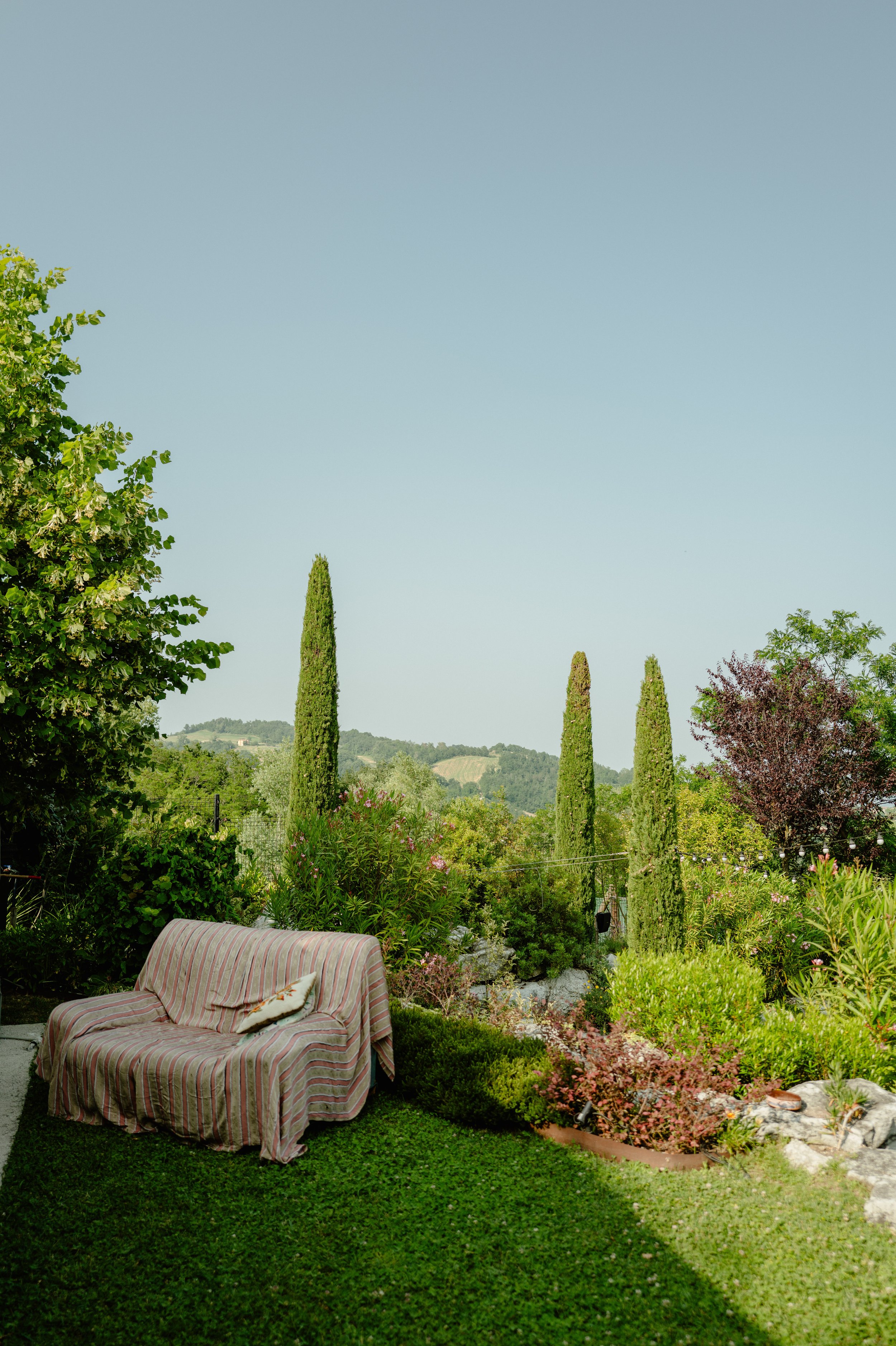 A backyard garden with a striped couch, colorful bushes, and tall cypress trees in the background under a clear blue sky.
