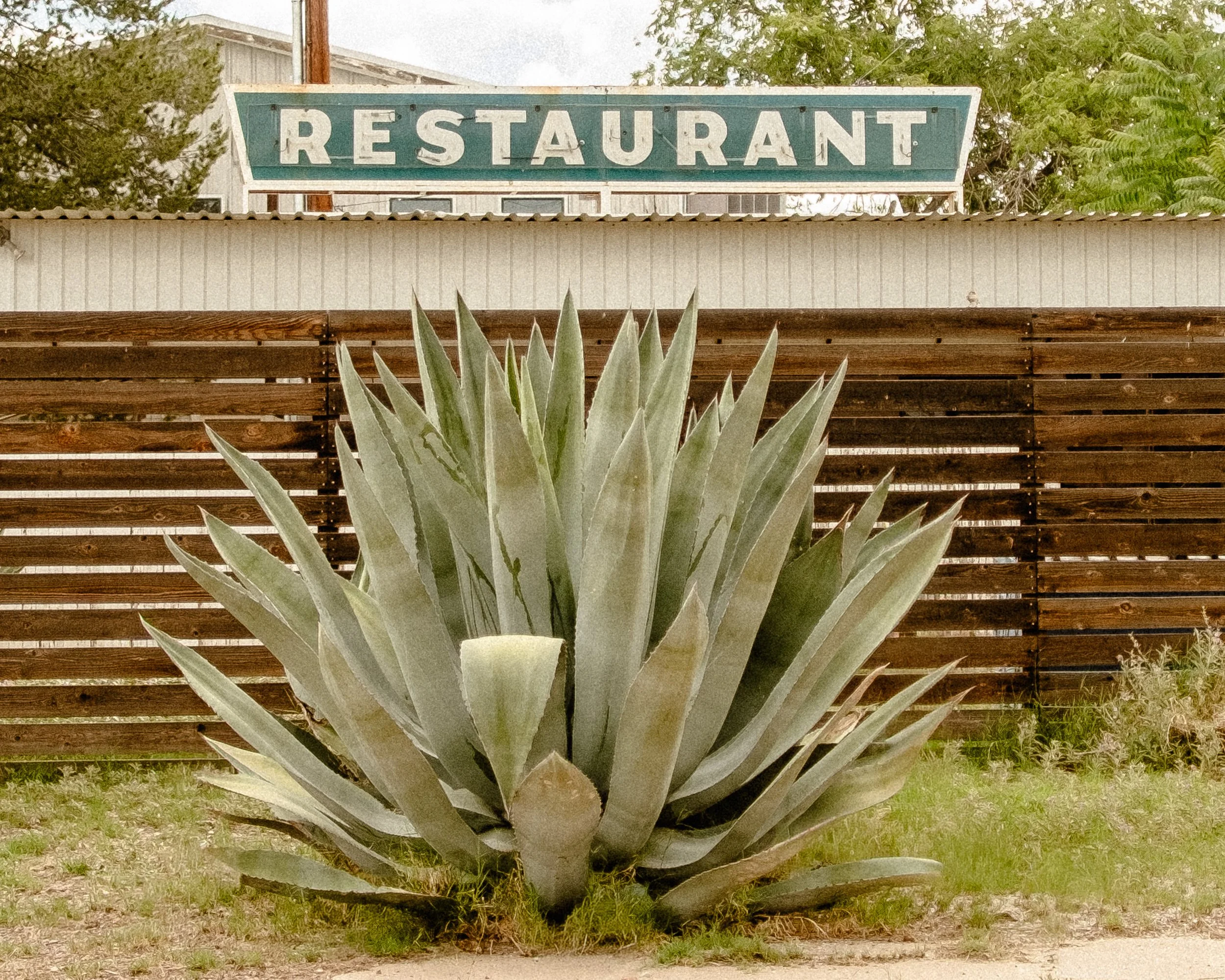 DSCF8122.jpg