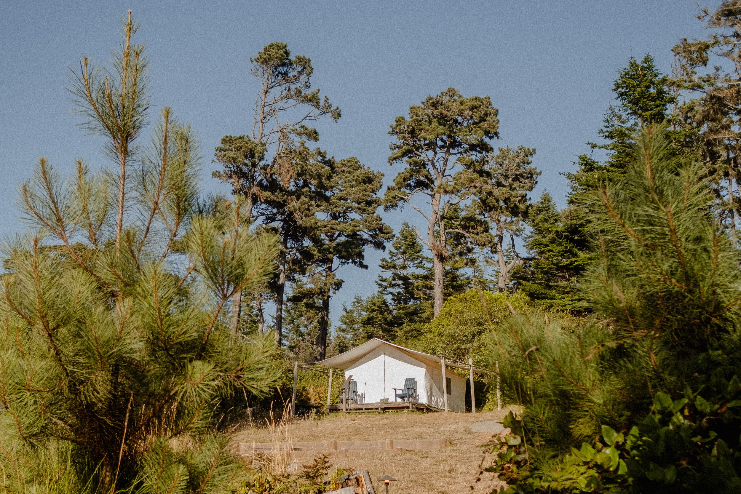 DSCF8822.jpg