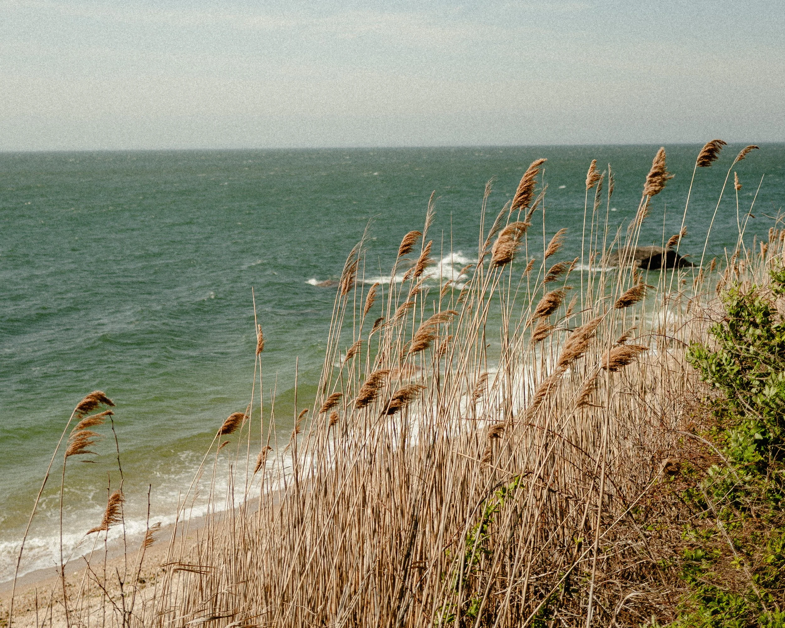 L1010379.jpg